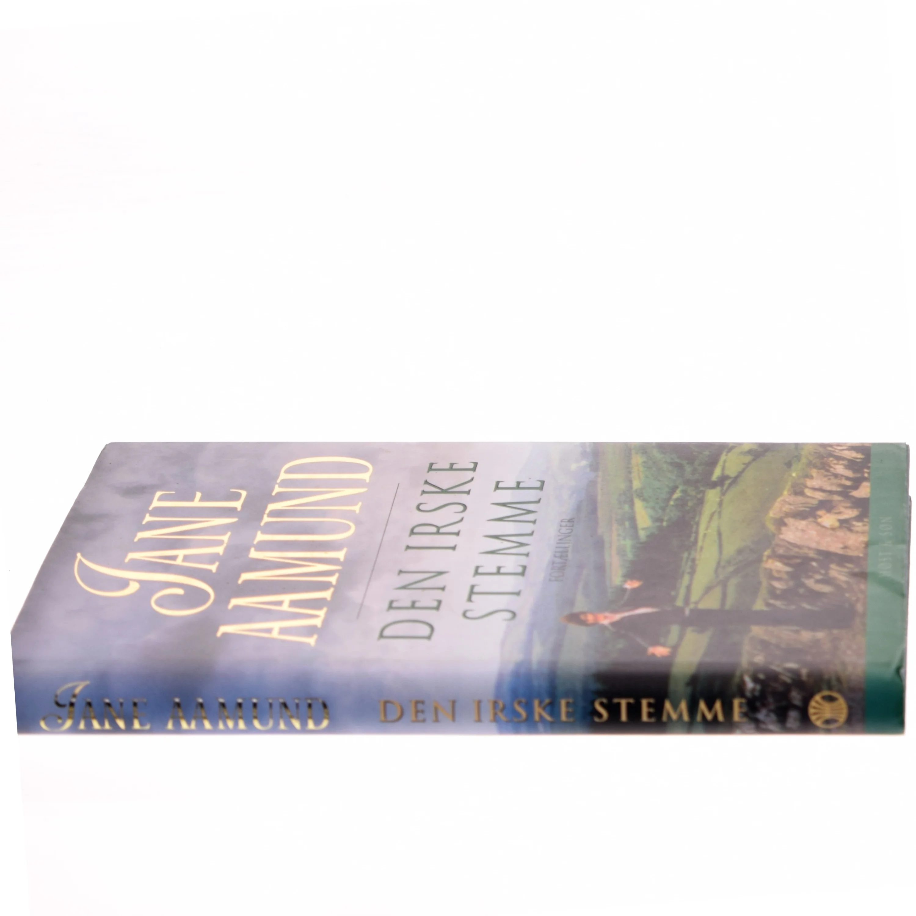 Den irske stemme : fortællinger af Jane Aamund (Bog)