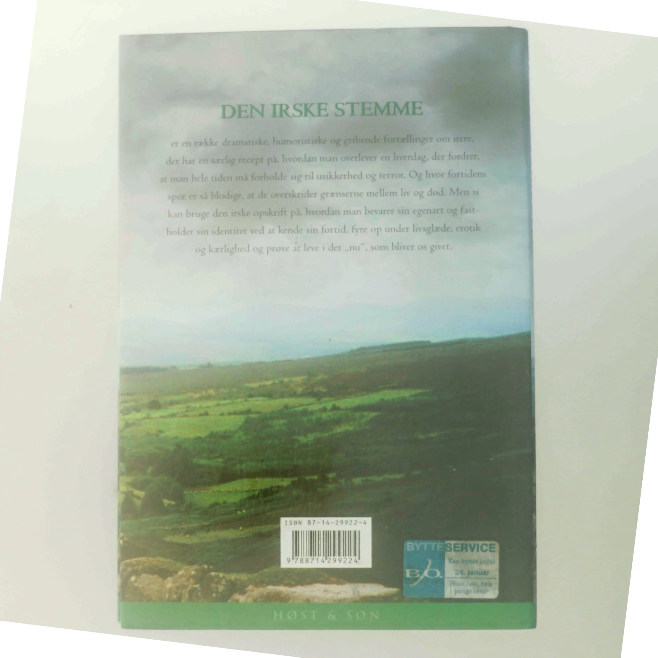 Den irske stemme : fortællinger af Jane Aamund (Bog)