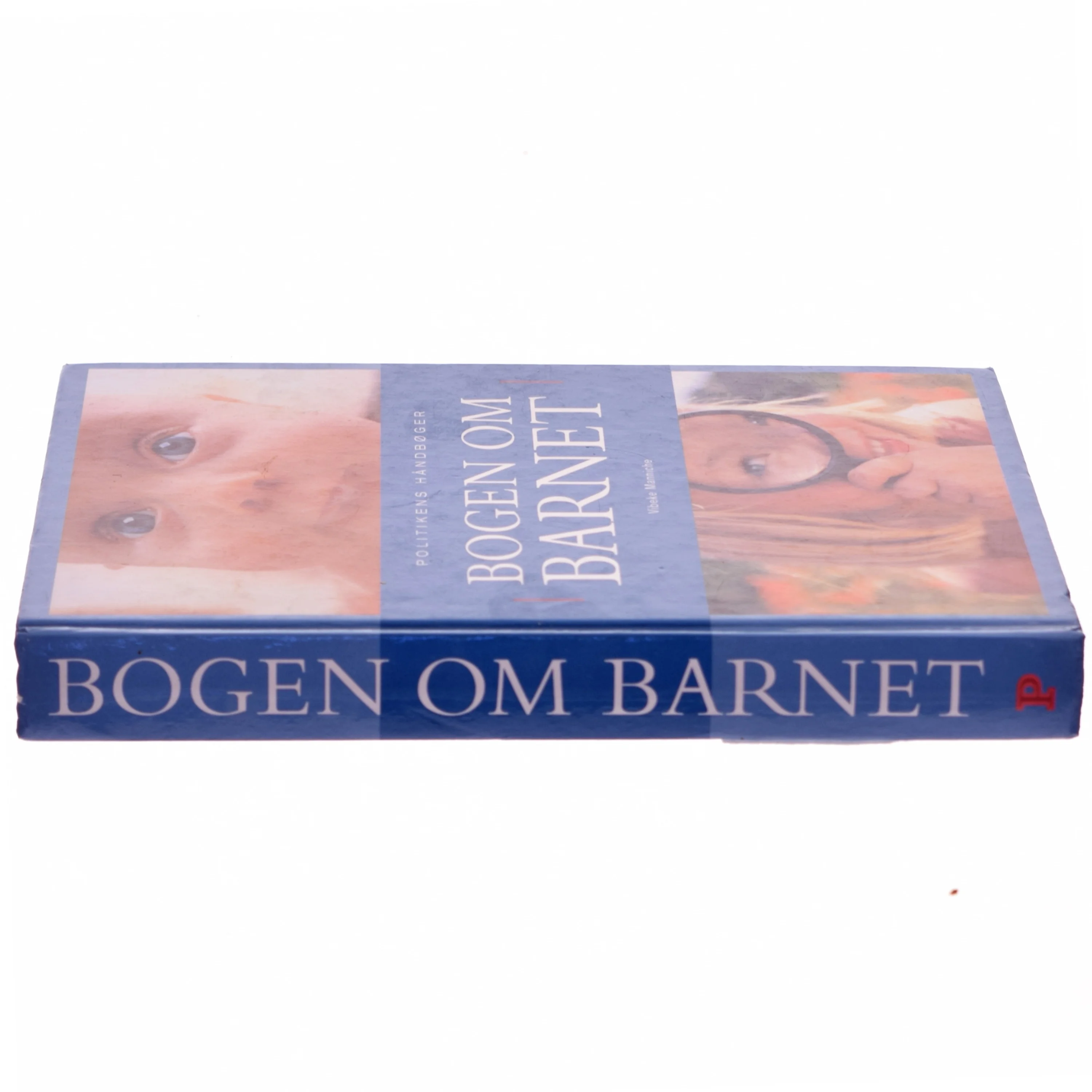 Bogen om barnet af Vibeke Manniche (Bog)