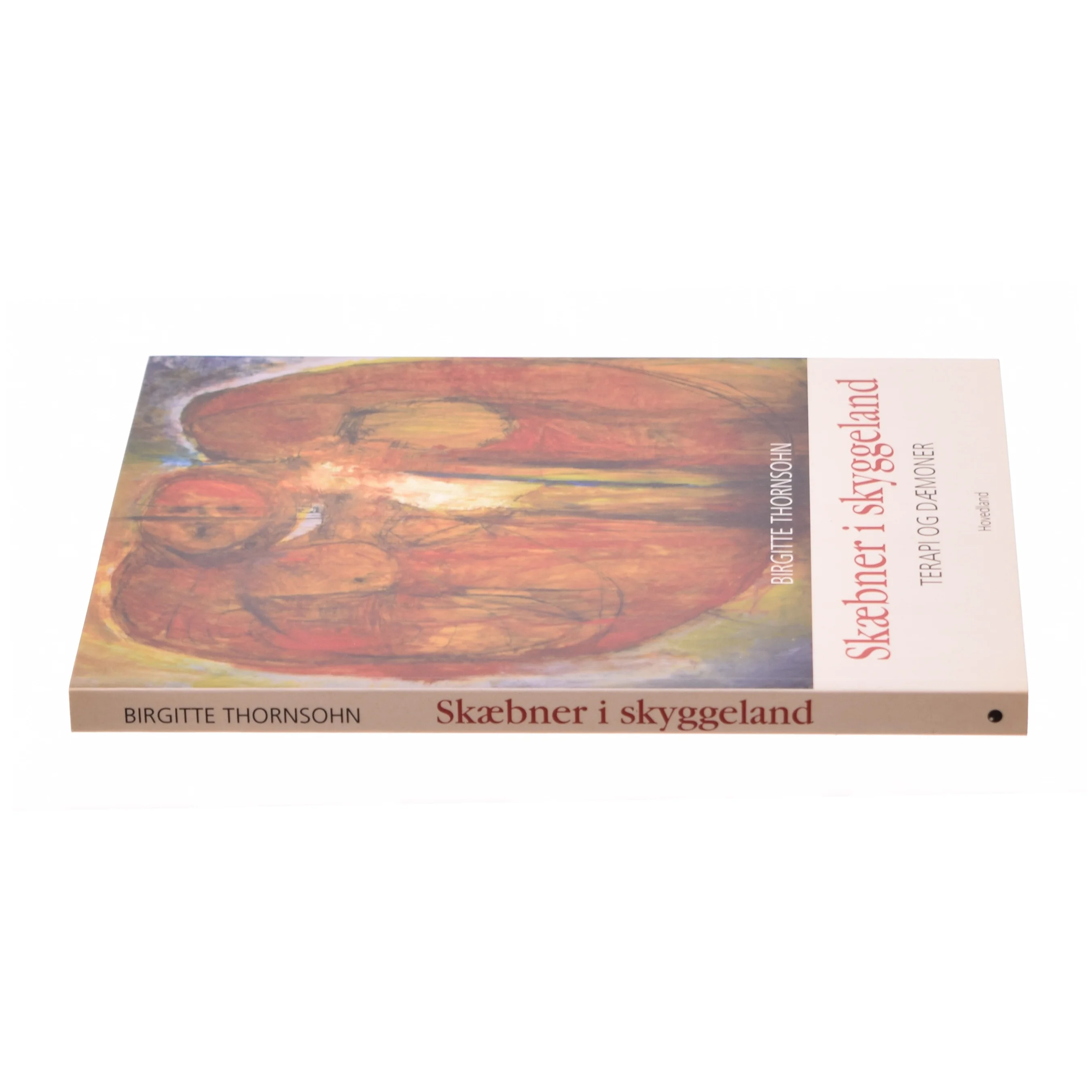 Skæbner i skyggeland af Birgitte Thorsohn (bog)