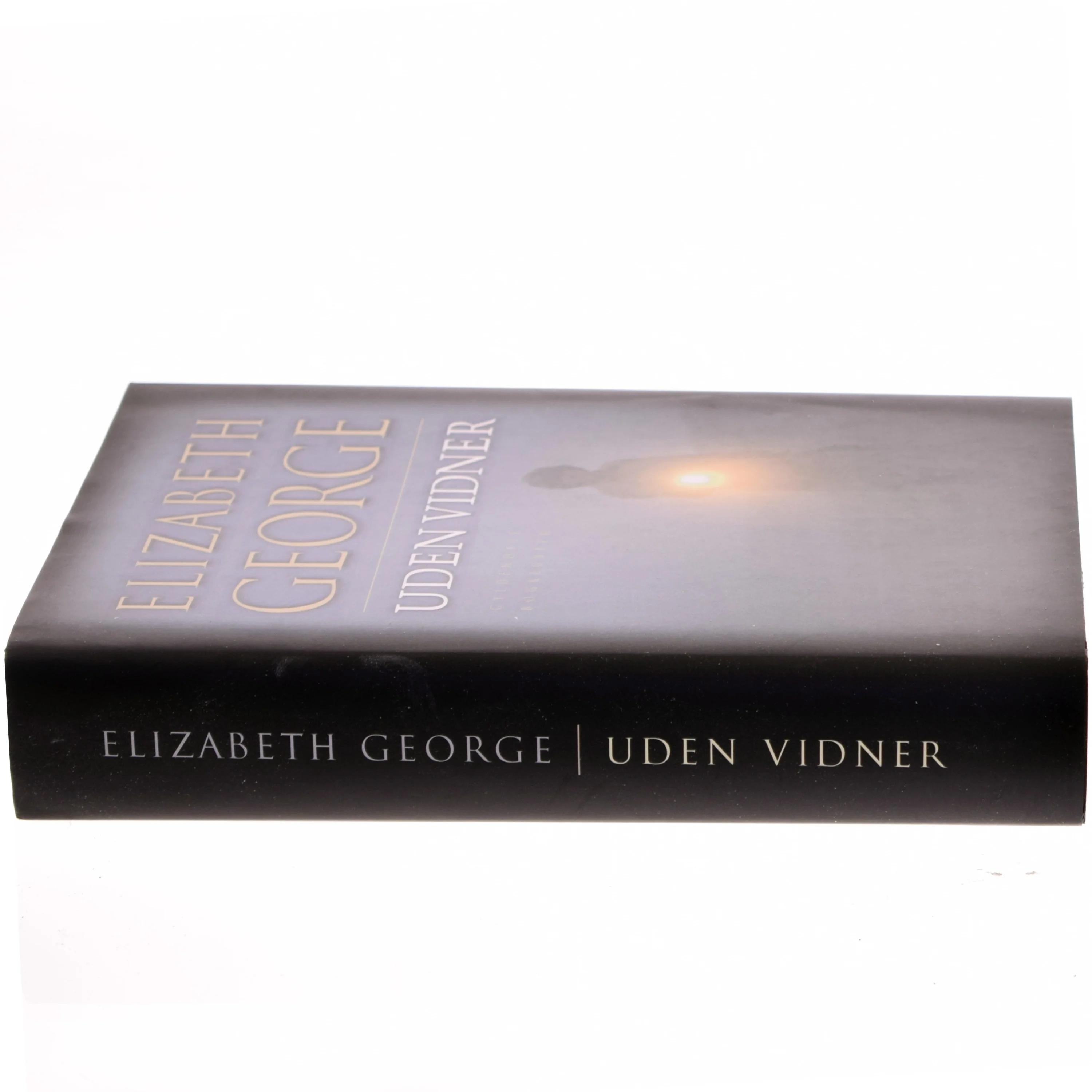 Uden vidner af Elizabeth George (Bog)