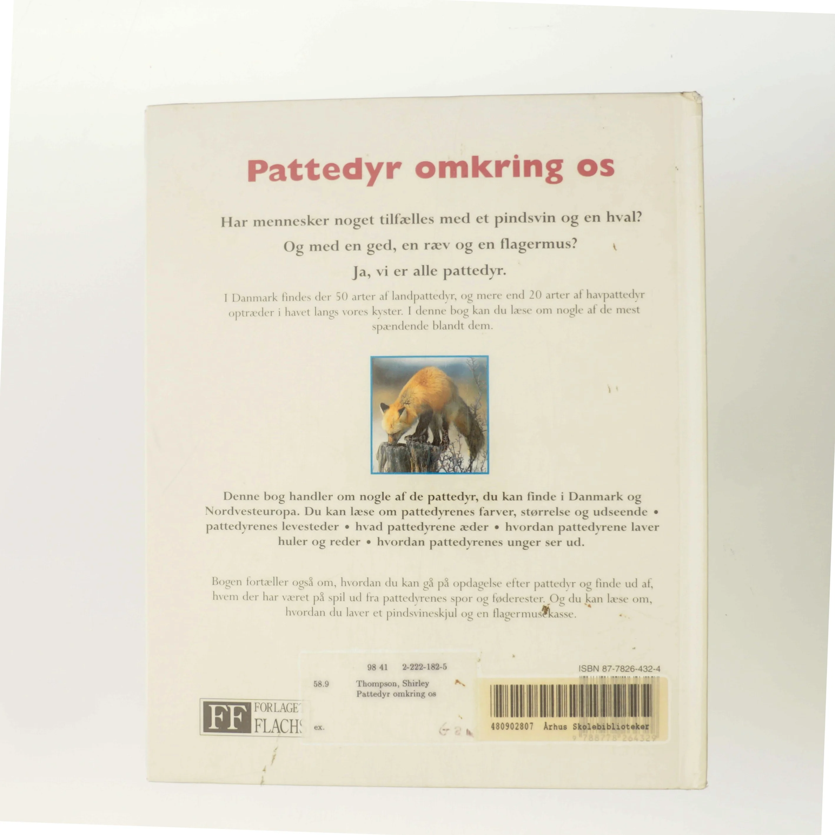 Pattedyr omkring os af Shirley Thompson (Bog)