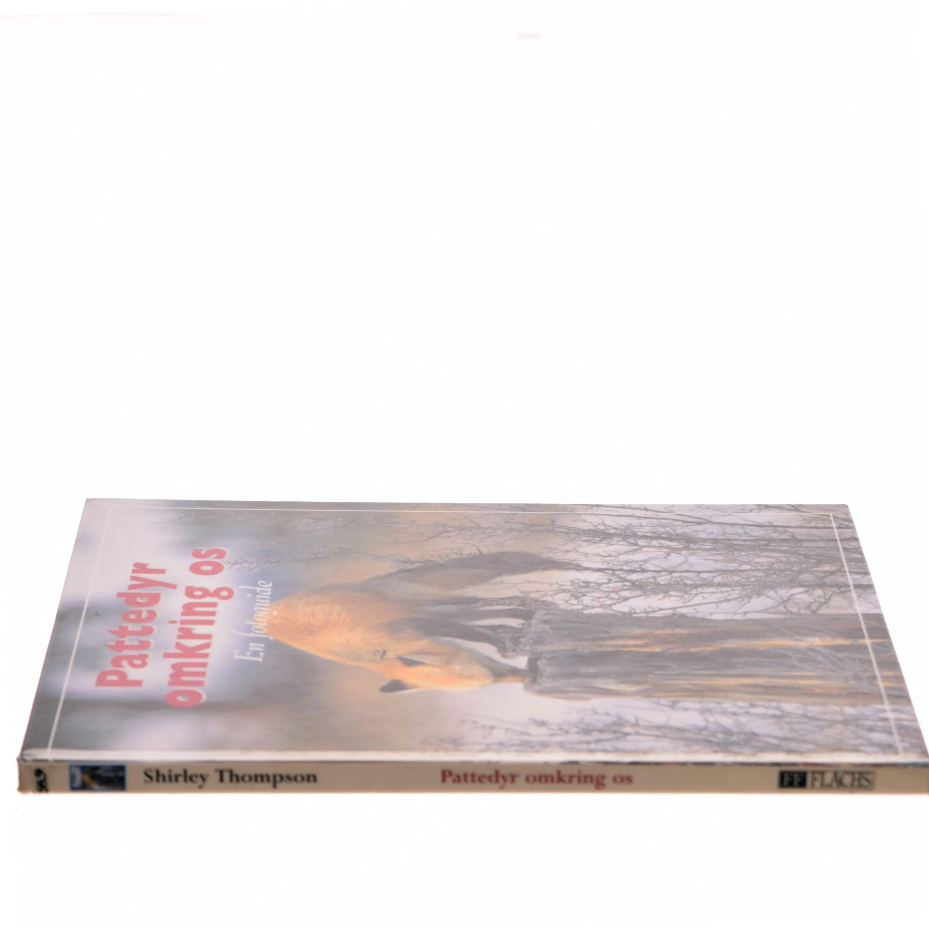 Pattedyr omkring os af Shirley Thompson (Bog)