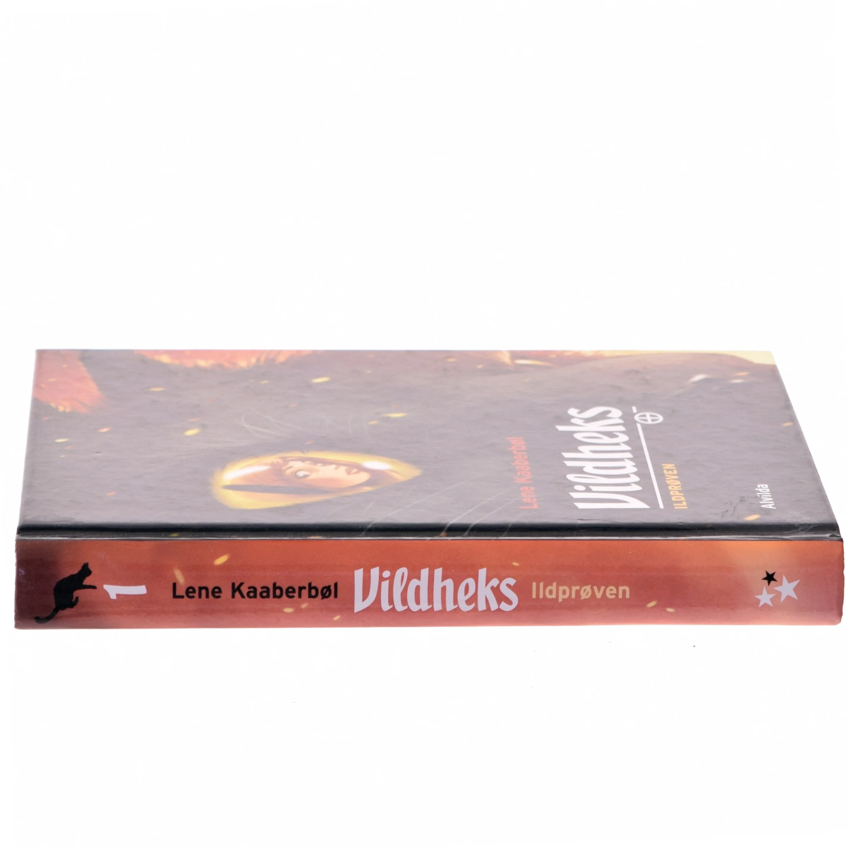 Vildheks. Bind 1, Ildprøven af Lene Kaaberbøl (Bog)