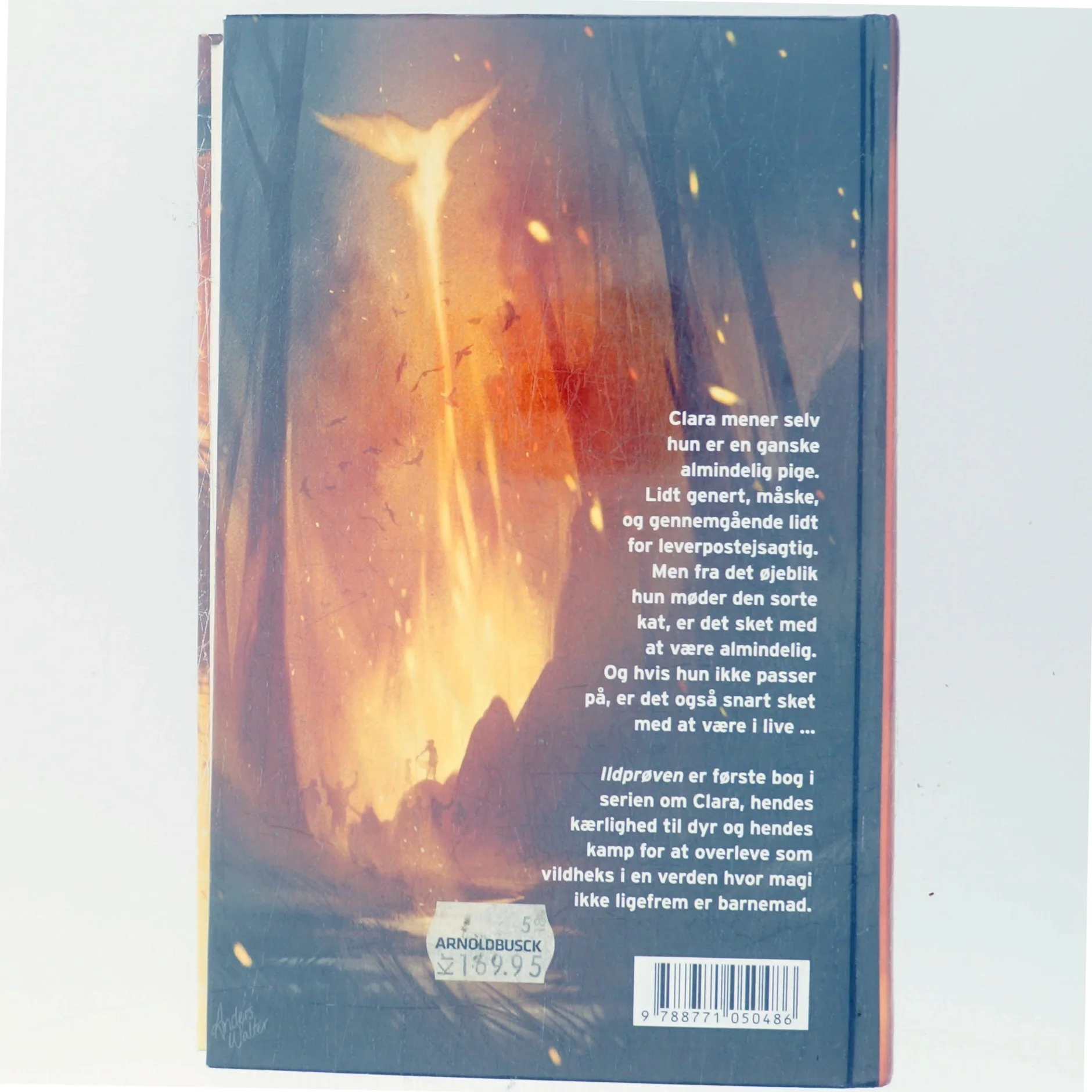 Vildheks. Bind 1, Ildprøven af Lene Kaaberbøl (Bog)