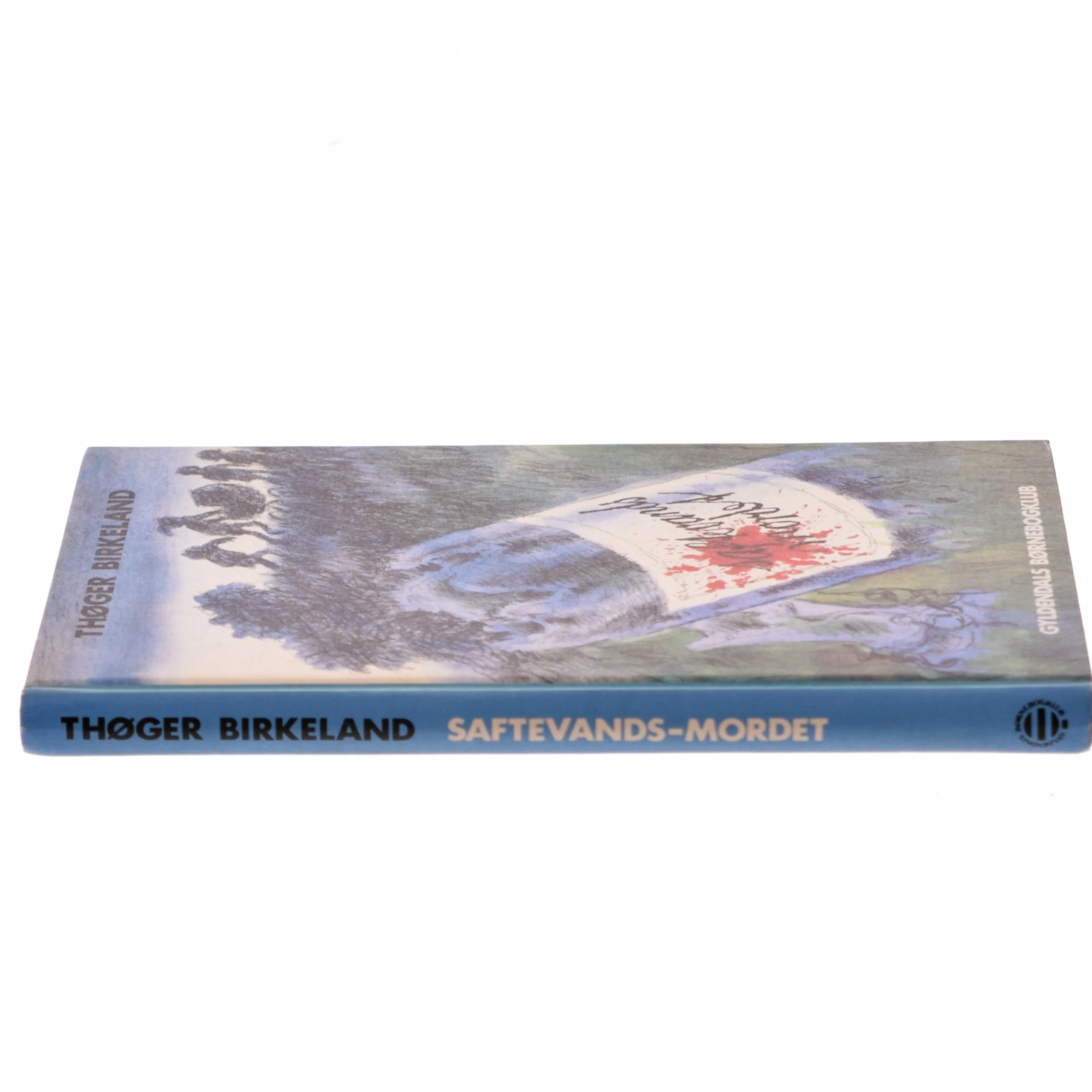 Saftevands-Mordet af Thøger Birkeland (Bog)
