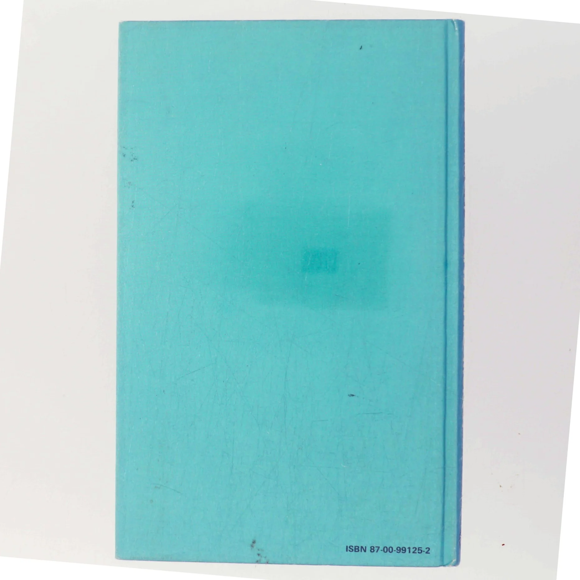 Saftevands-Mordet af Thøger Birkeland (Bog)