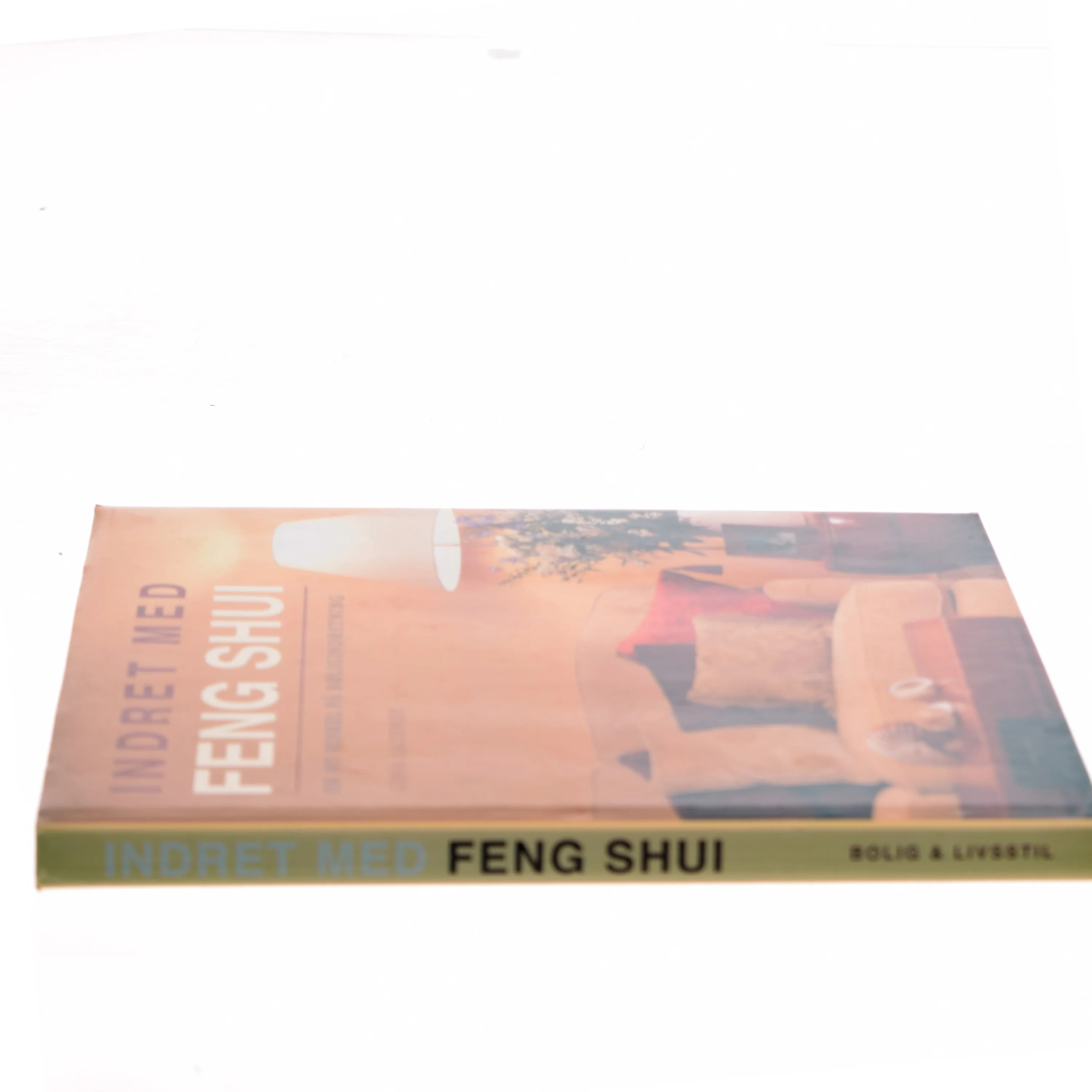 Indret med Feng Shui af Gina Lazenby (Bog)