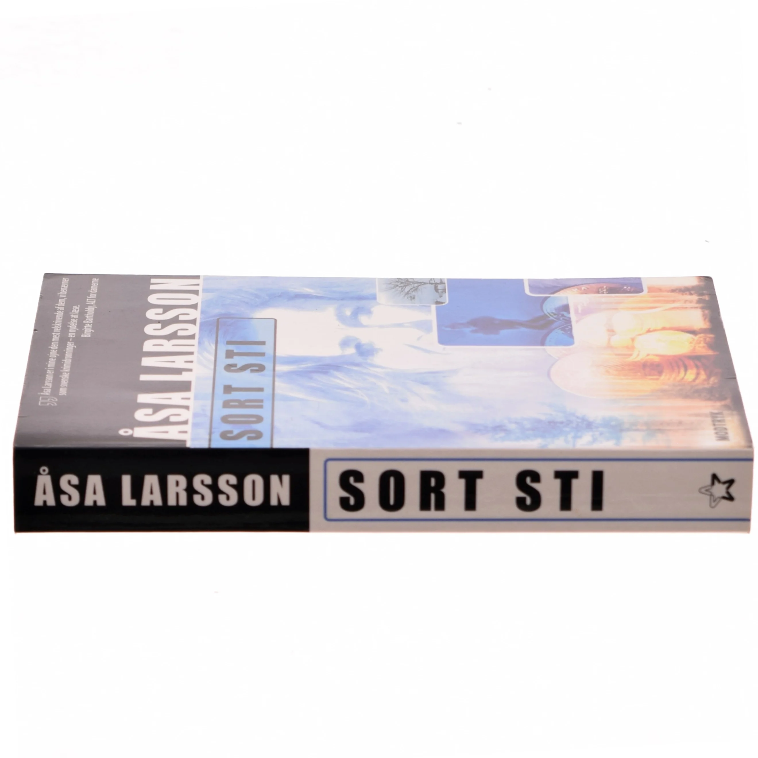 Sort sti af Åsa Larsson (Bog)