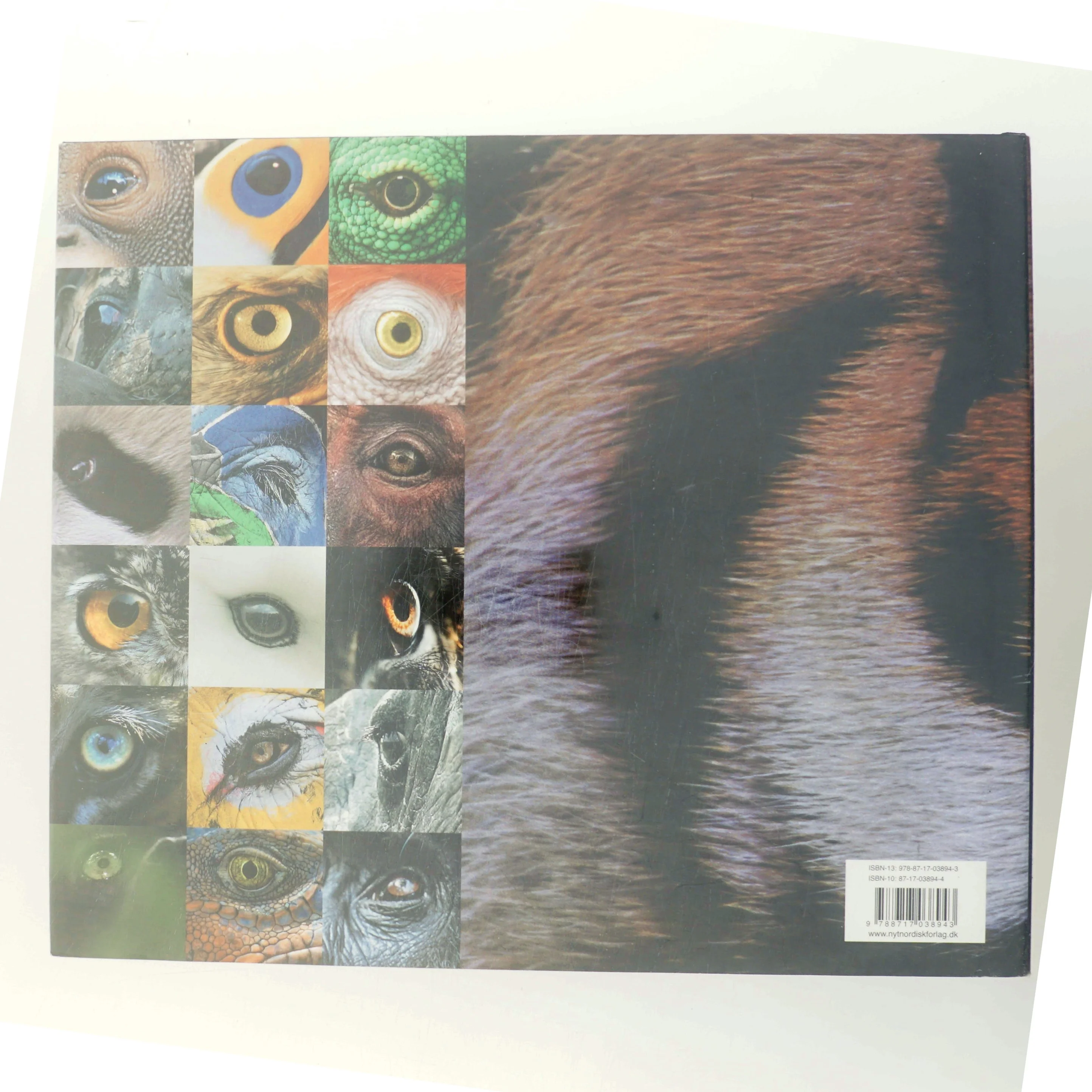 Helt vildt af Steve Bloom (f. 1953) (Bog)