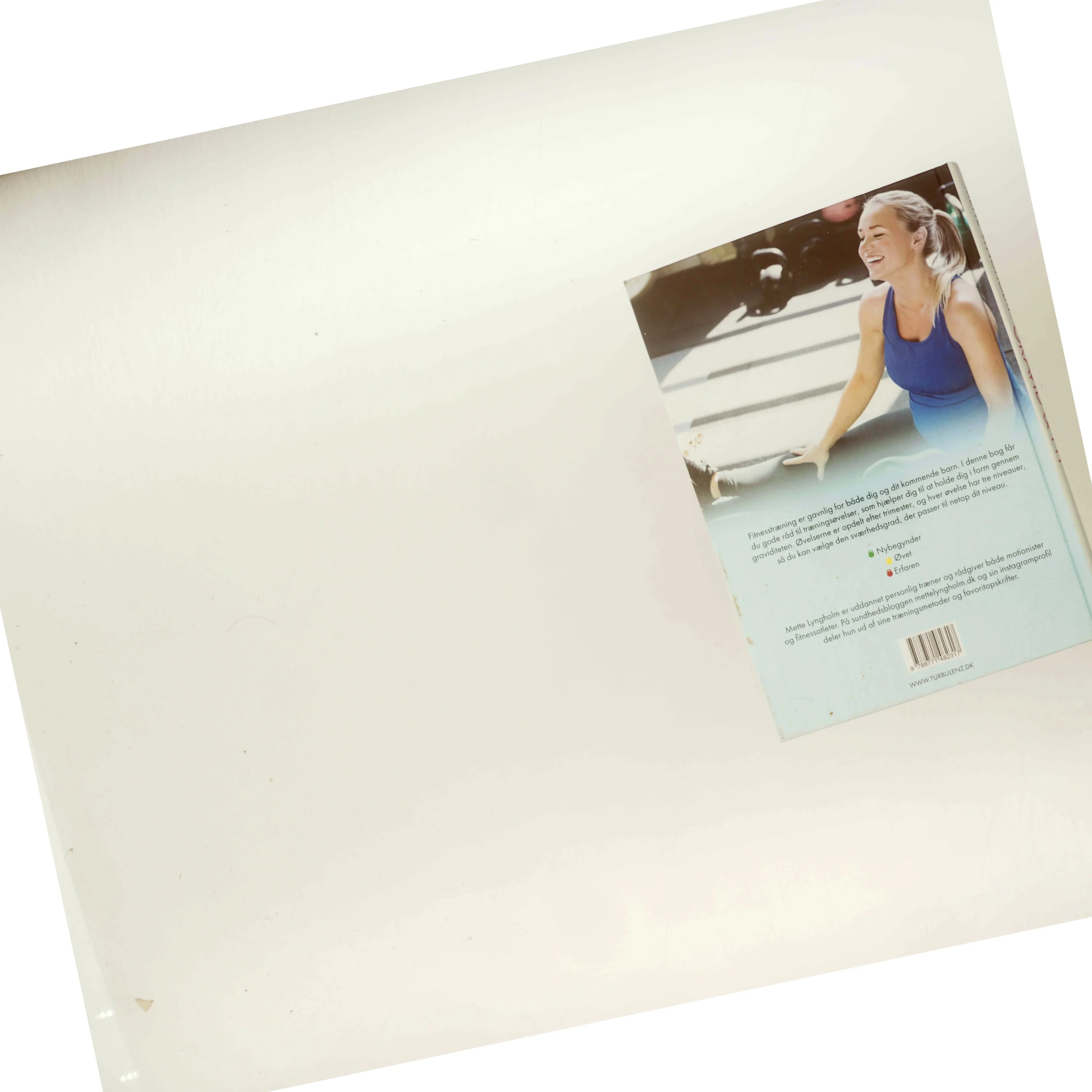 Gravid & fit : din træningsguide til en god graviditet af Mette Lyngholm (f. 1988) (Bog)