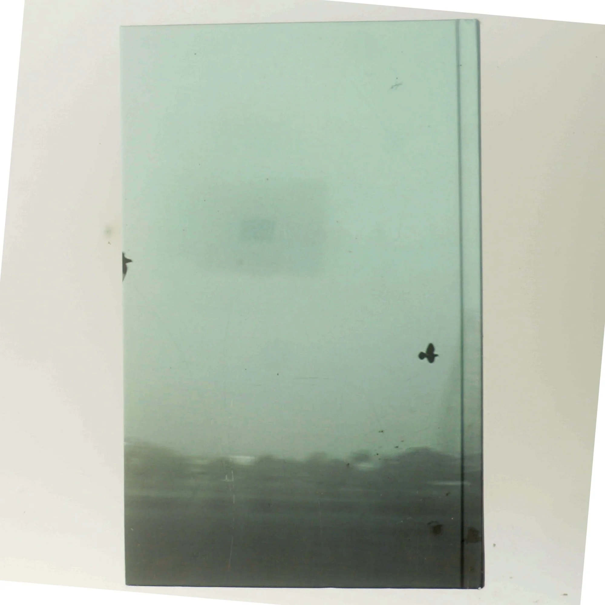 Før vi siger farvel af Jens Christian Grøndahl (Bog)