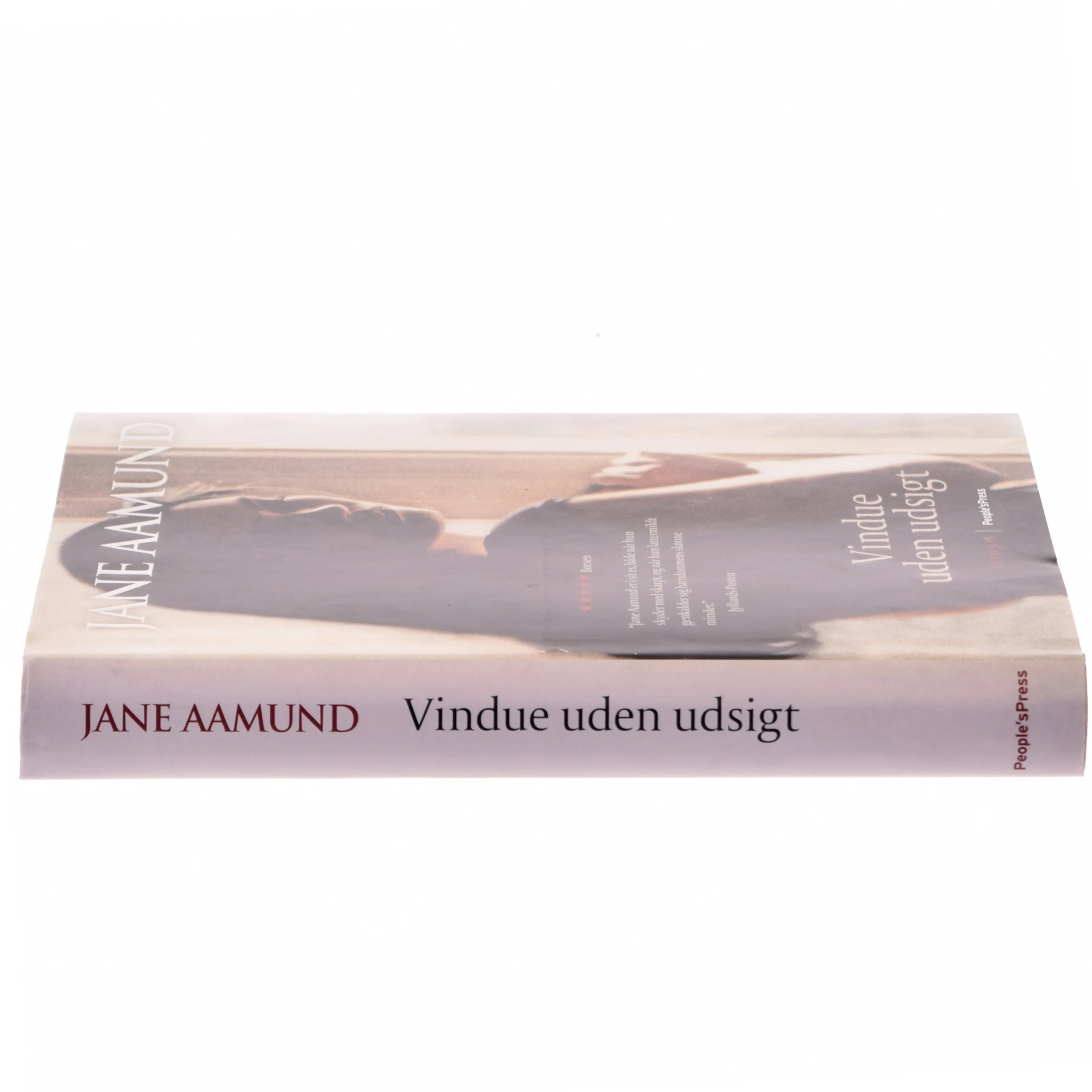 Vindue uden udsigt af Jane Aamund (Bog)