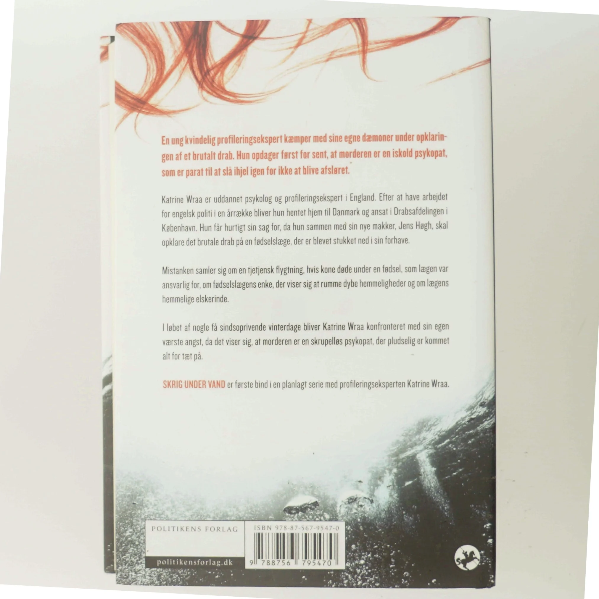 Am Ende Eines Sommers, Roman,, Aus Dem Englischen Von Rainer Schmidt (Bog) fra Politikens Forlag