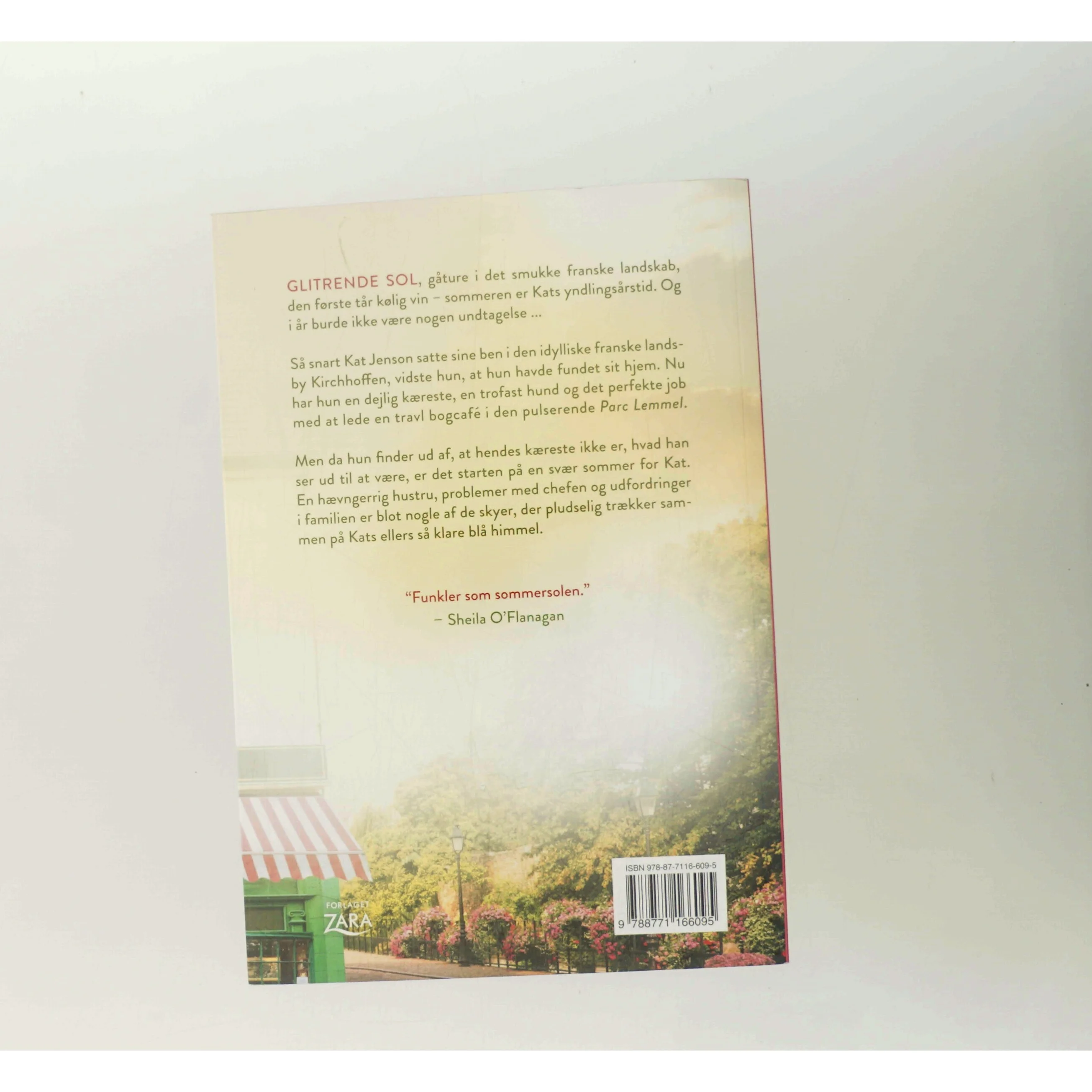 Sommer på den franske bogcafé af Sue Moorcroft (Bog)