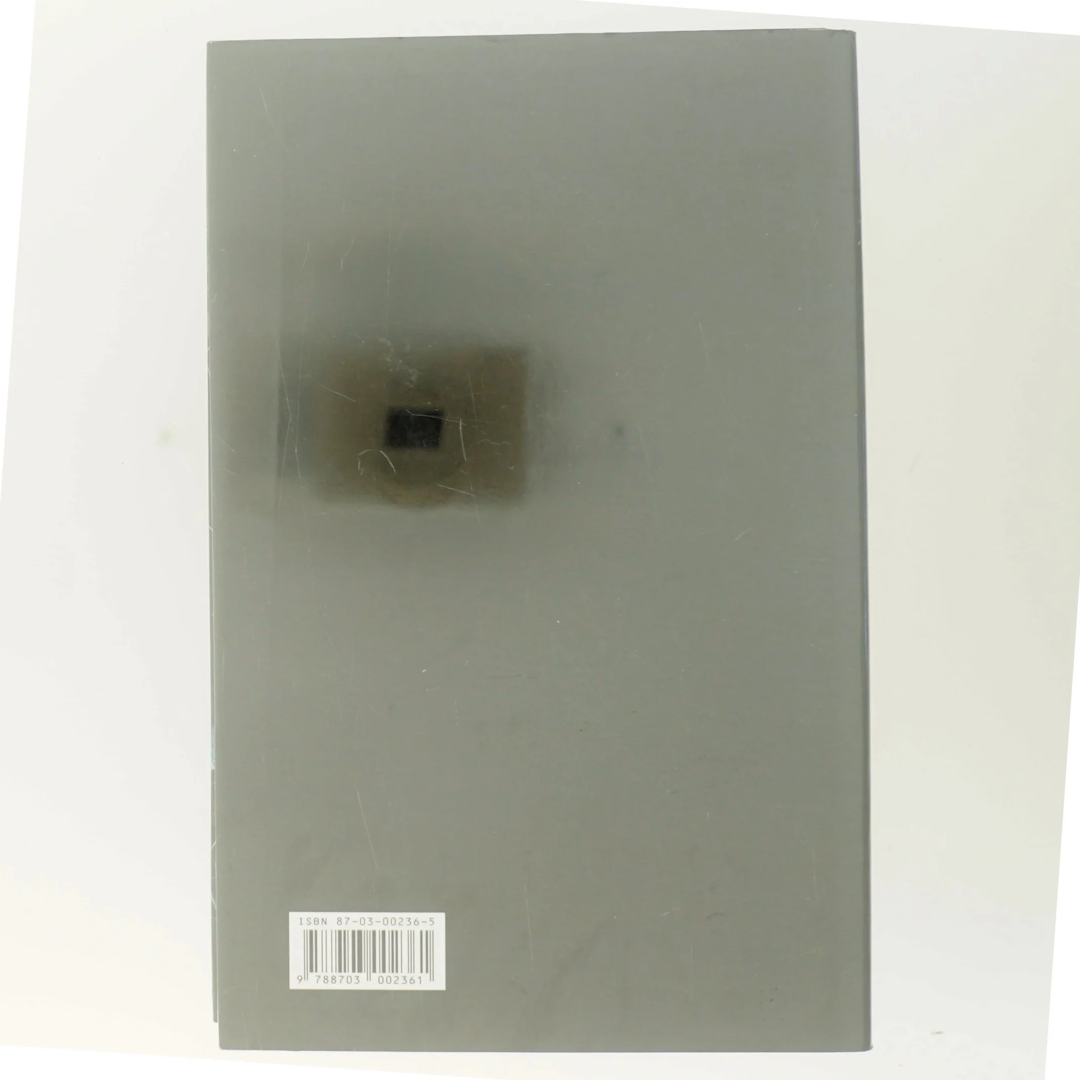 Forvildede sjæle : kriminalroman af Ruth Rendell (Bog)