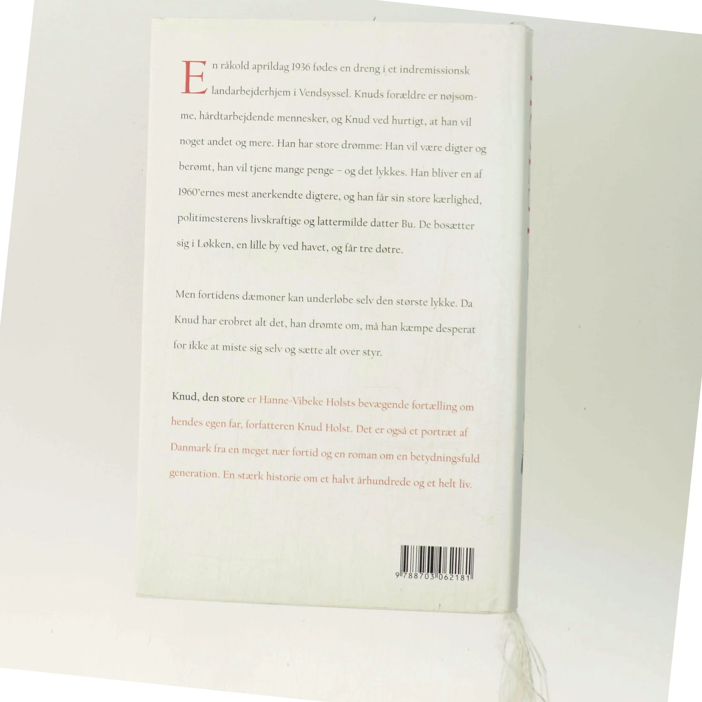 Knud, den store : roman af Hanne-Vibeke Holst (Bog)