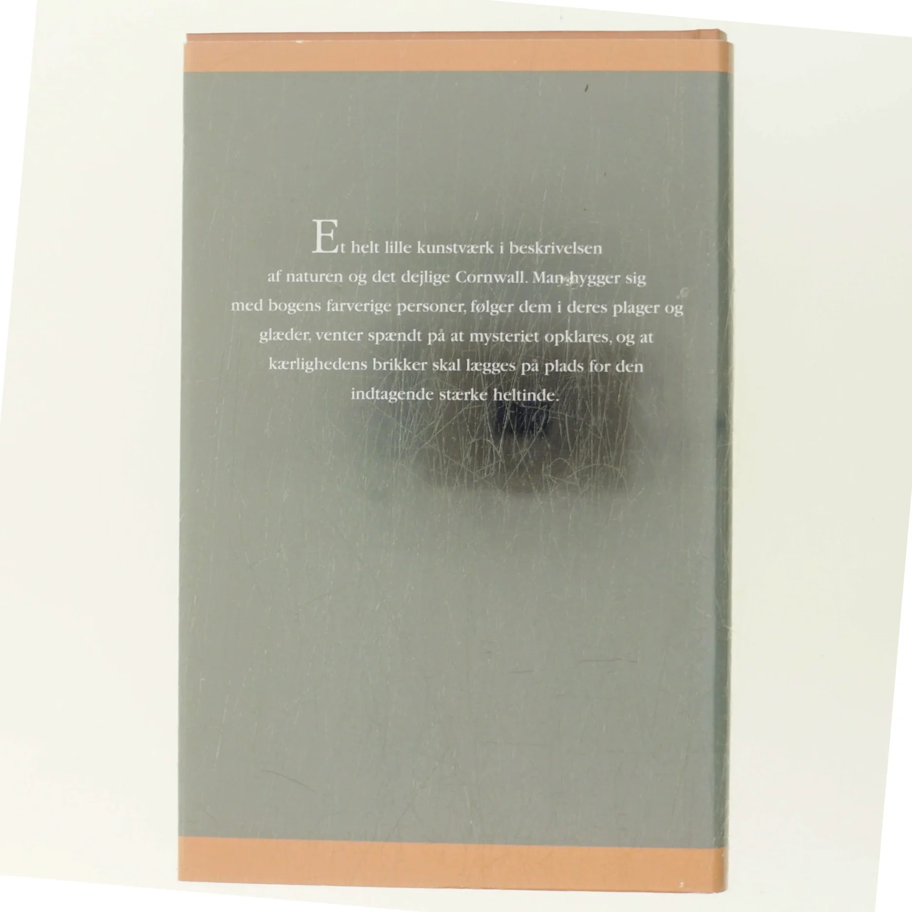 Før Stormen af Rosamunde Pilcher (Bog)