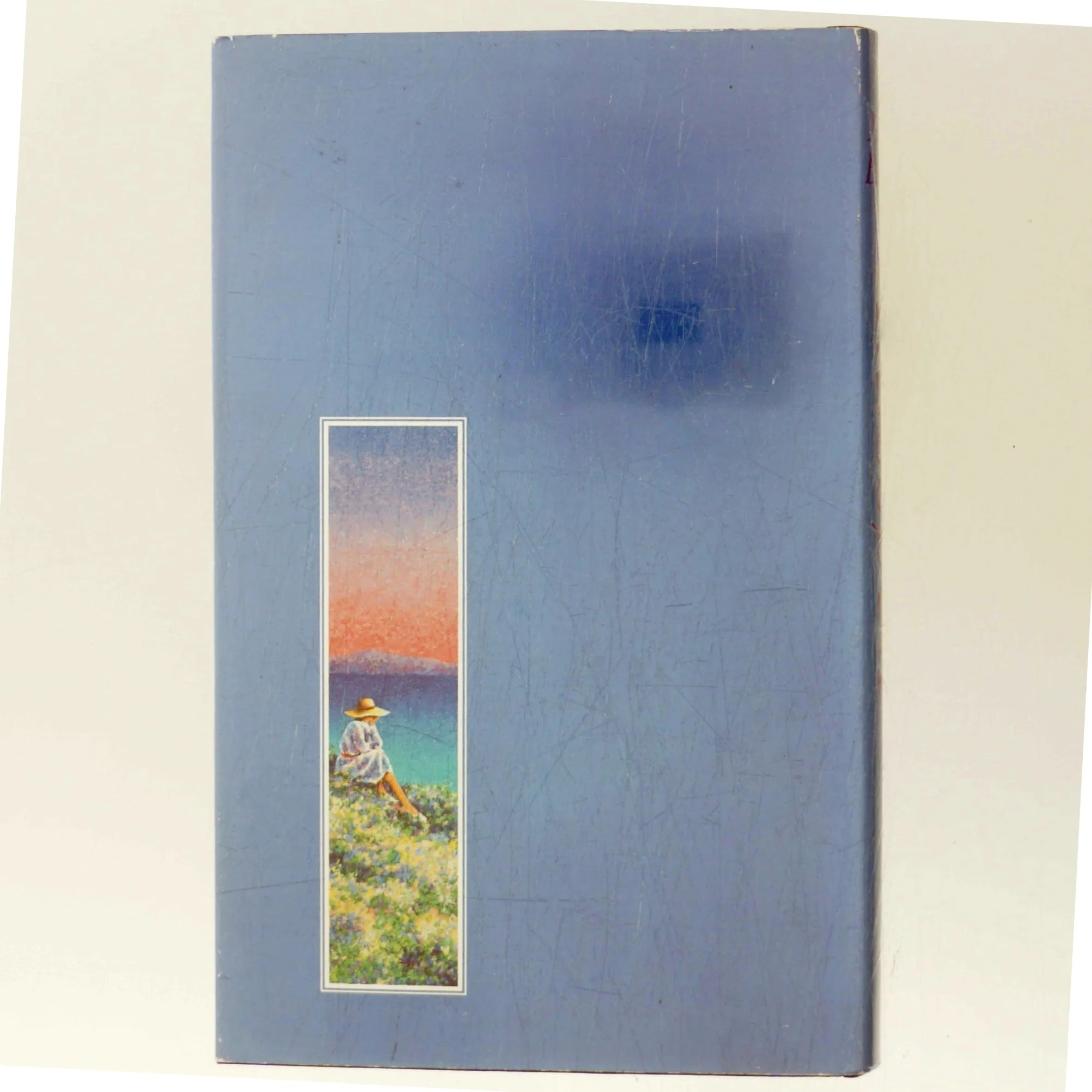 Glassøen af Maeve Binchy (Bog)