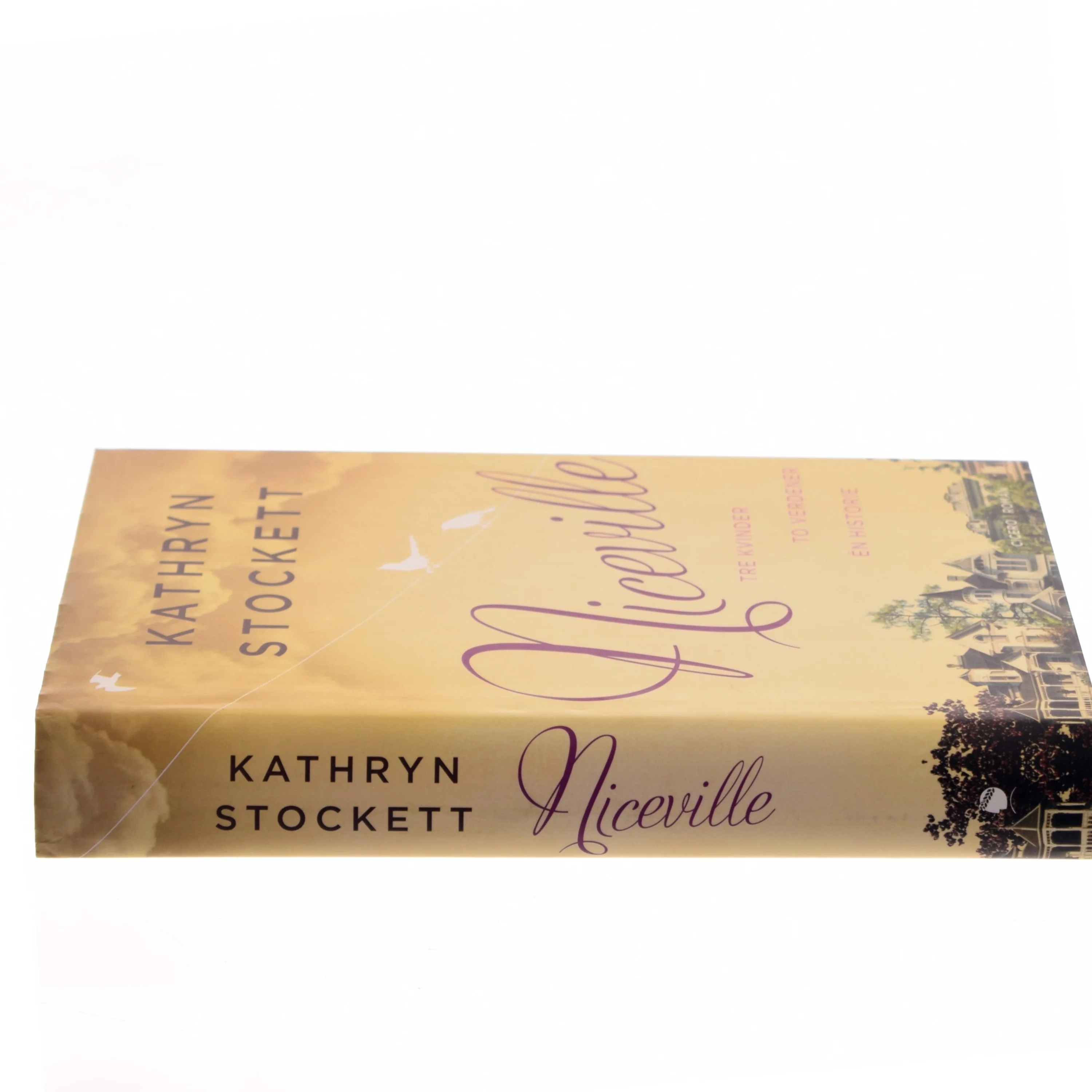 Niceville af Kathryn Stockett (Bog)