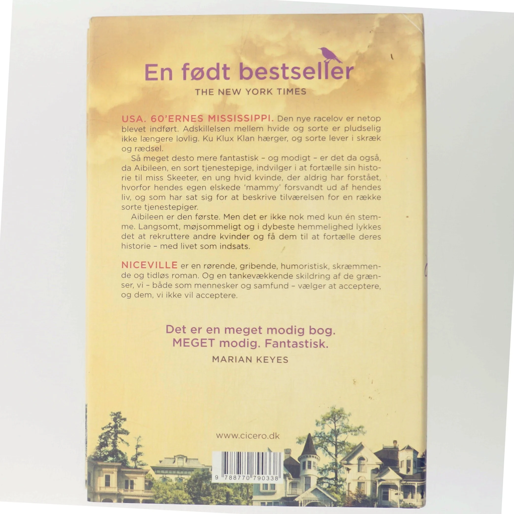 Niceville af Kathryn Stockett (Bog)