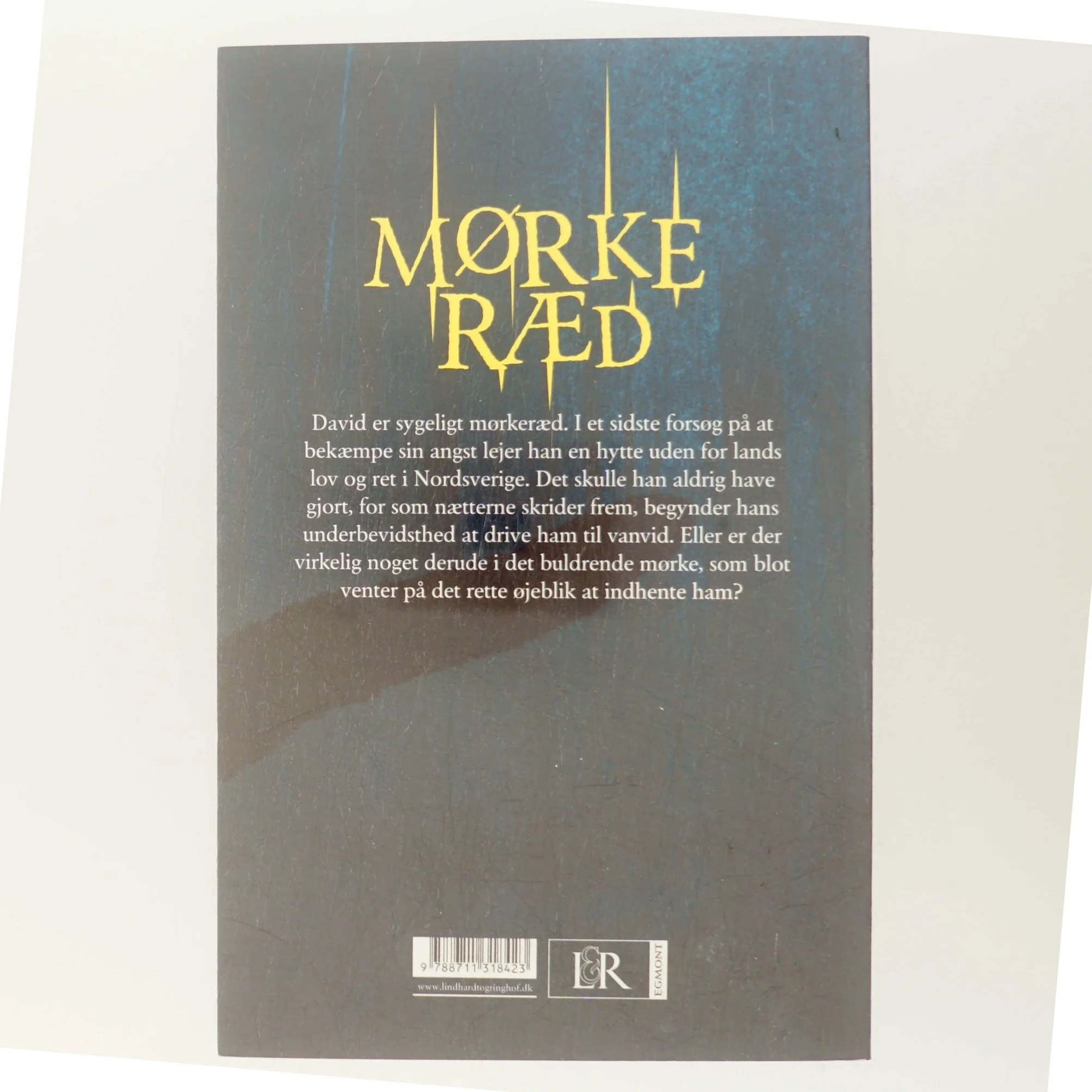 Mørkeræd : skrækroman af Andreas Roman (Bog)