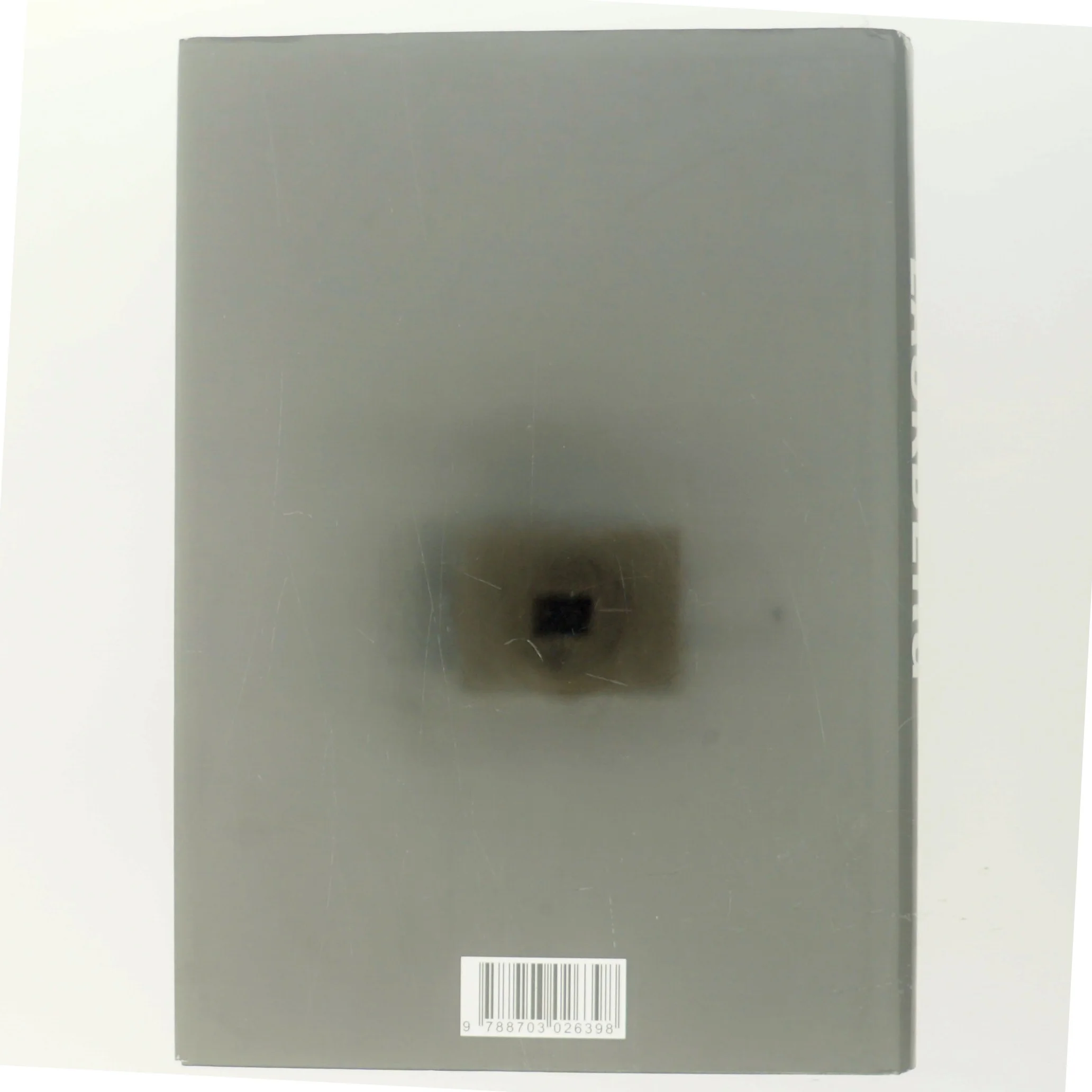 Stenhuggeren af Camilla Läckberg (Bog)