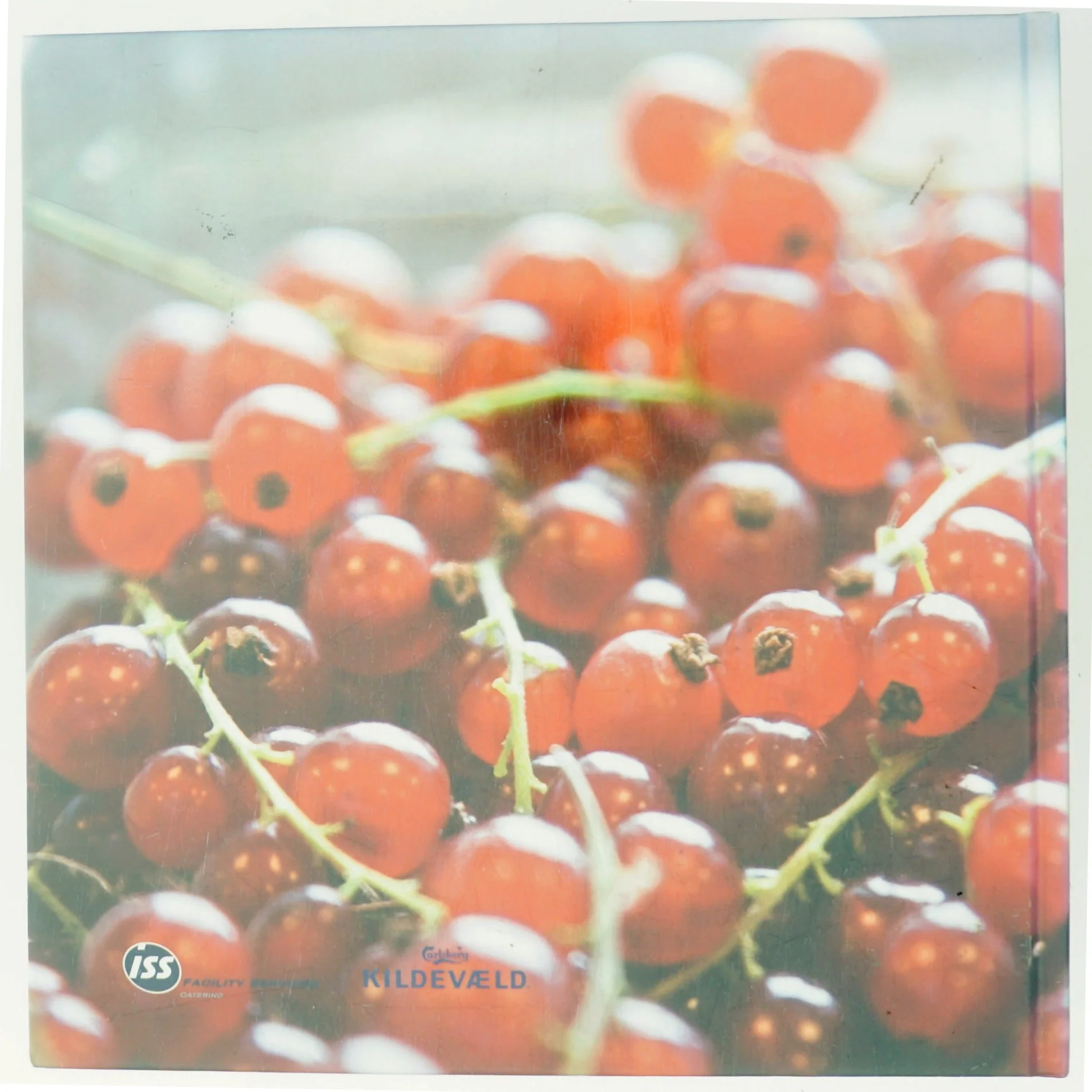 Mad og Mennesker NORDEN af <Bogens forfattere> (Bog)