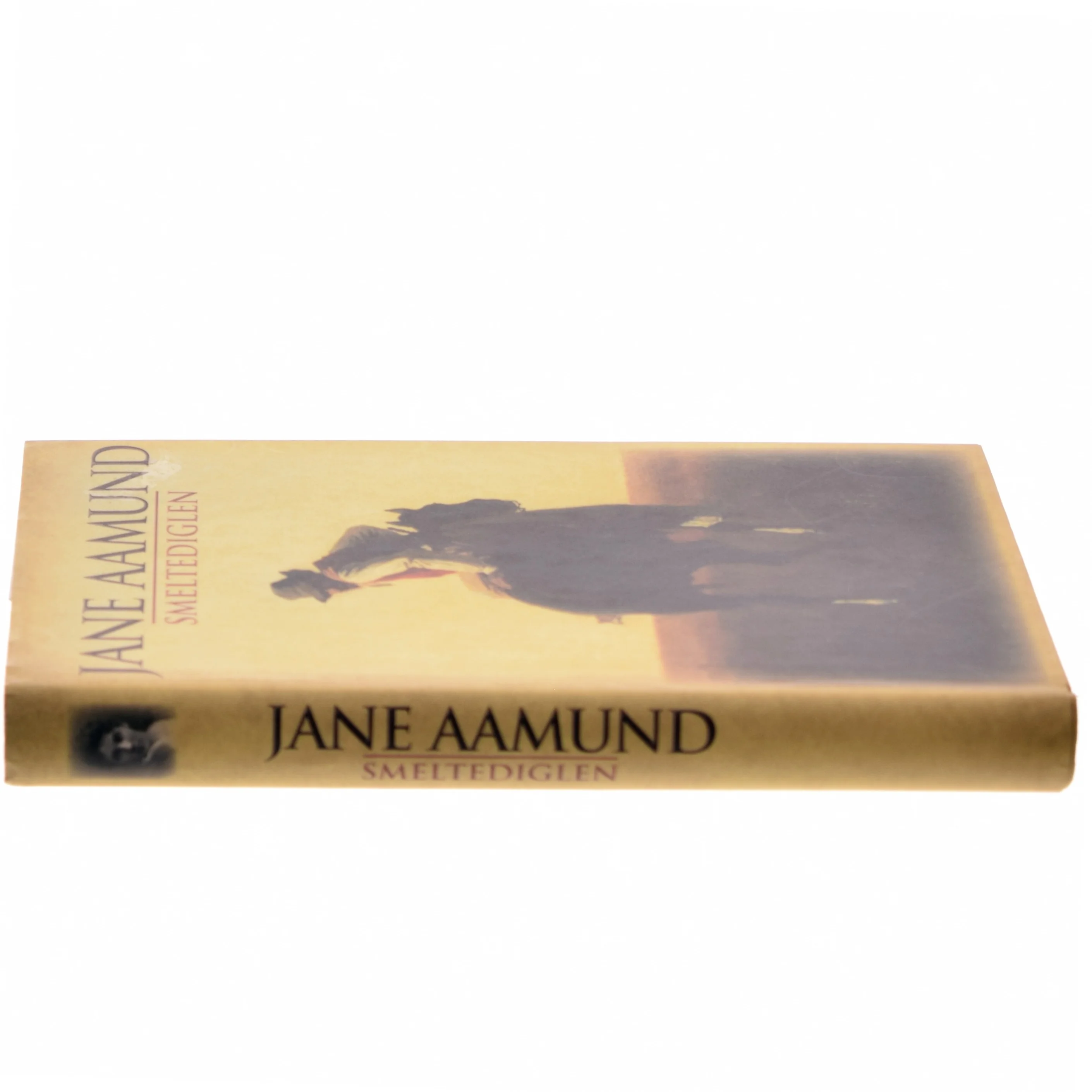 Smeltediglen : andet bind i slægtskrøniken om de dansk-argentinske indvandrere : roman af Jane Aamund (Bog)