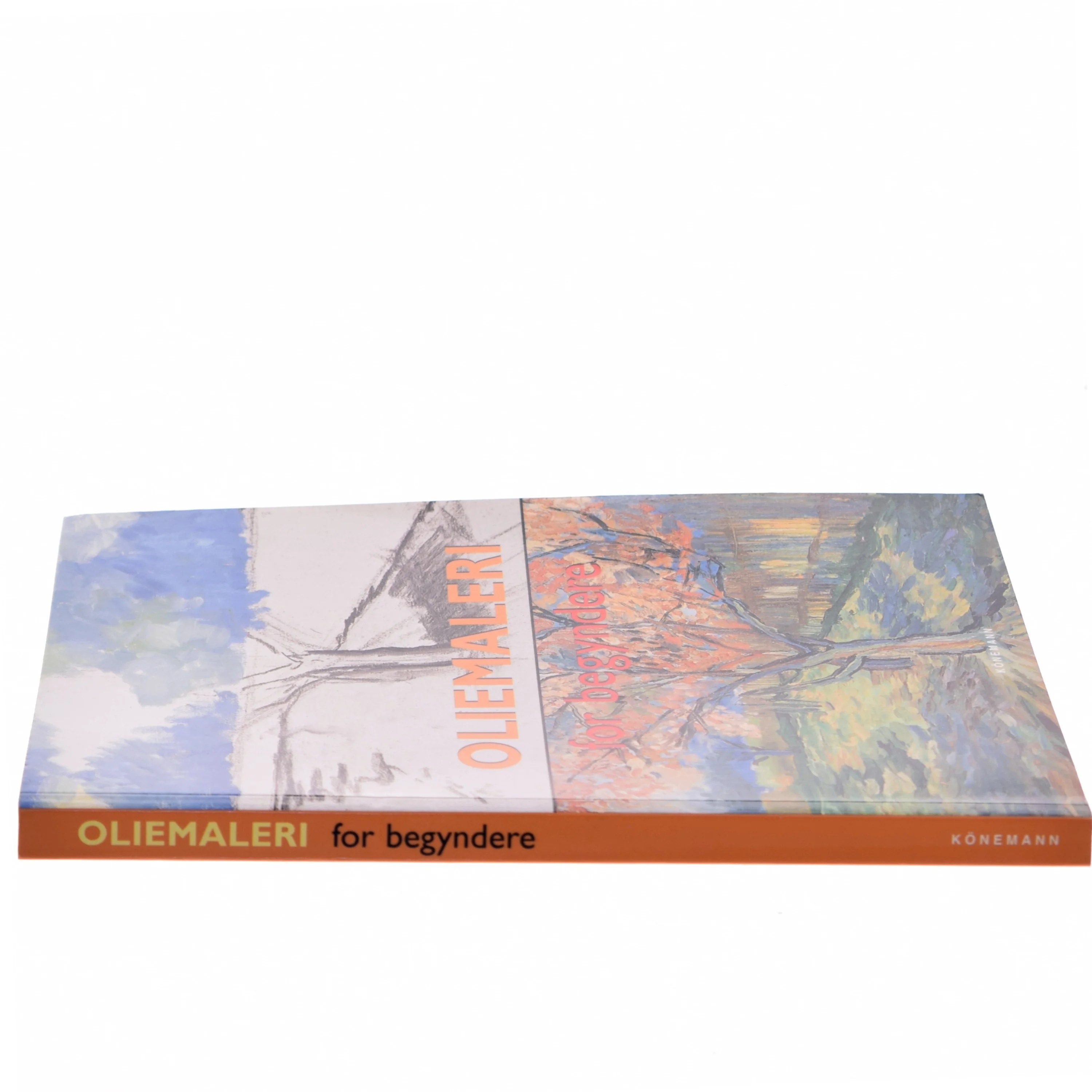 Oliemaling for begyndere af Ramón de Jesús Rodríguez Rodríguez (Bog)