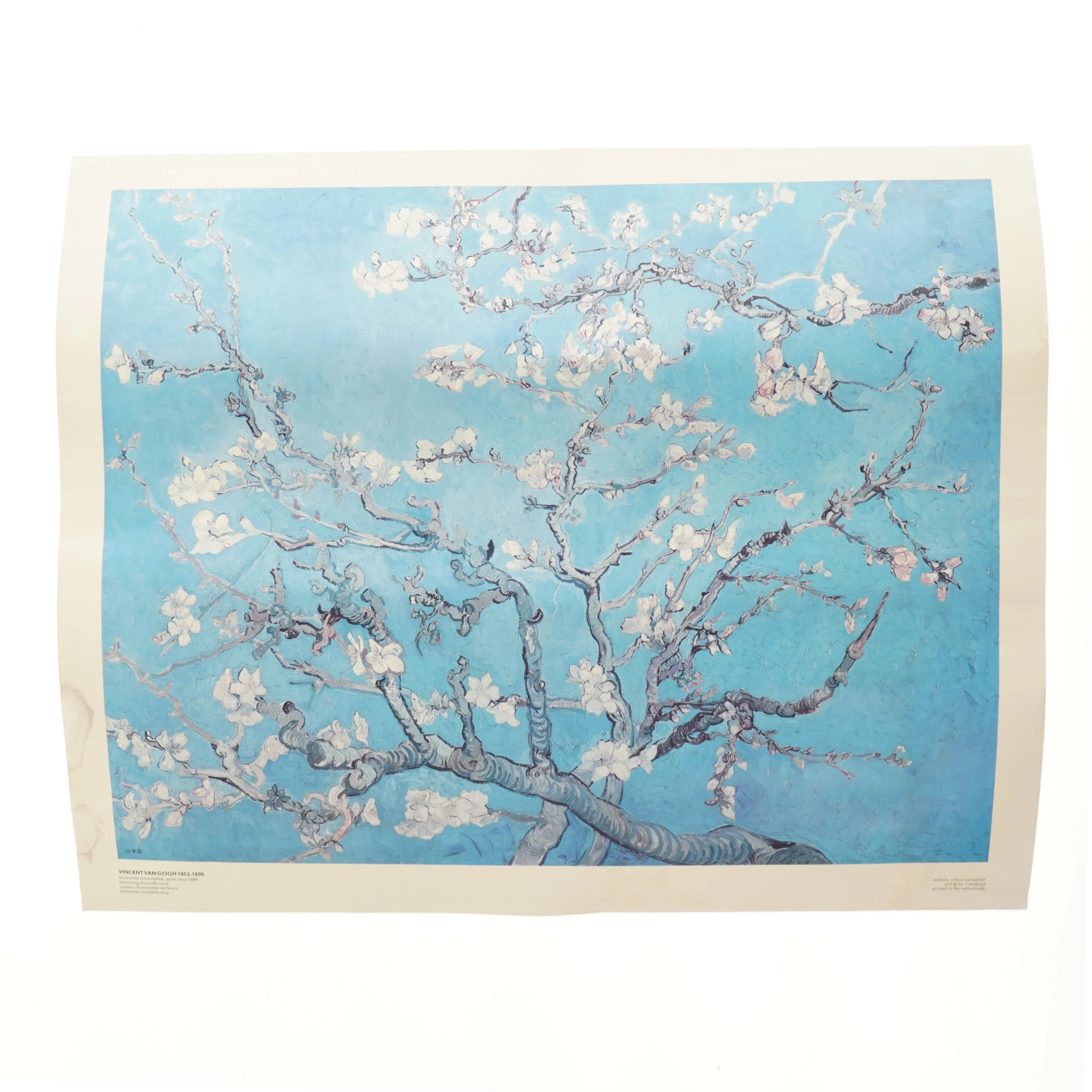 Van Gogh 'Almond Blossom' plakat (str. 49,5x60 cm)