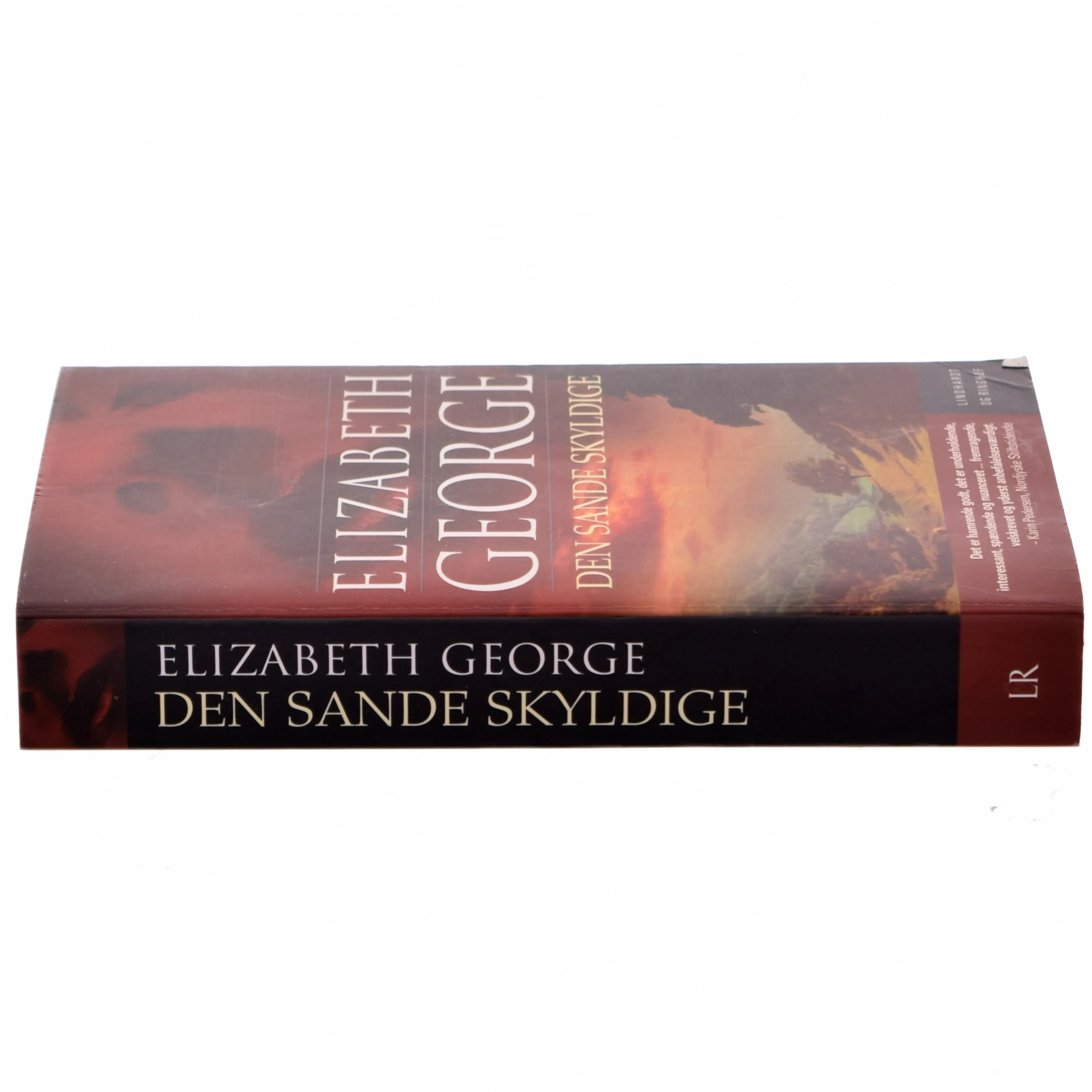 Den sande skyldige af Elizabeth George (Bog)