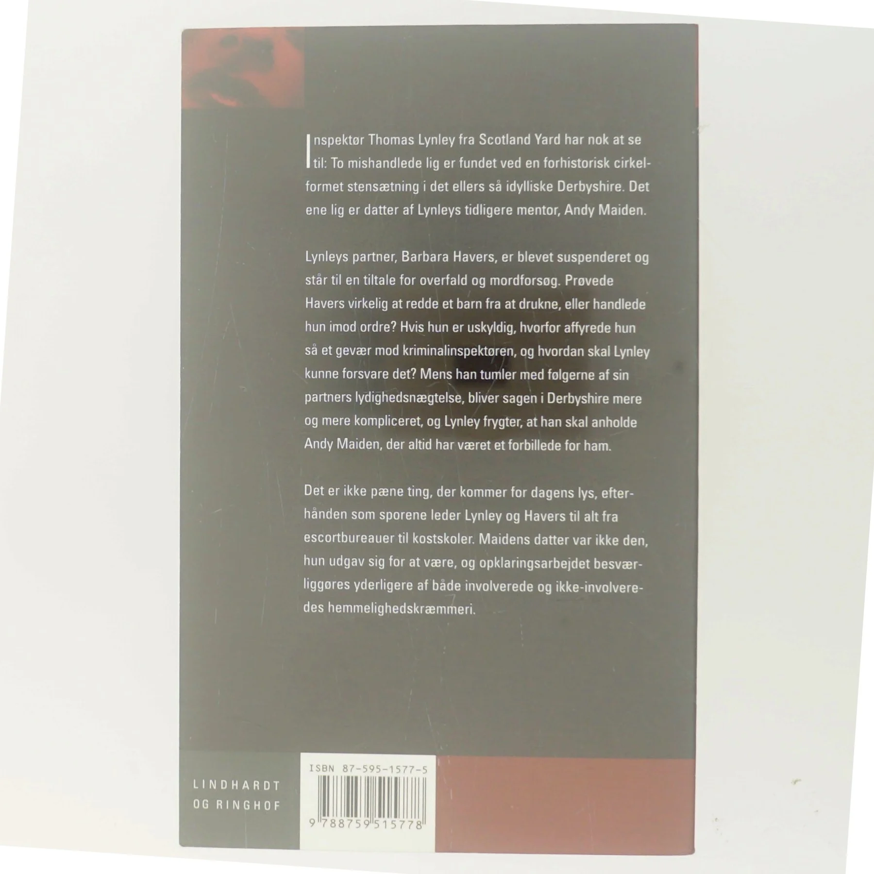 Den sande skyldige af Elizabeth George (Bog)