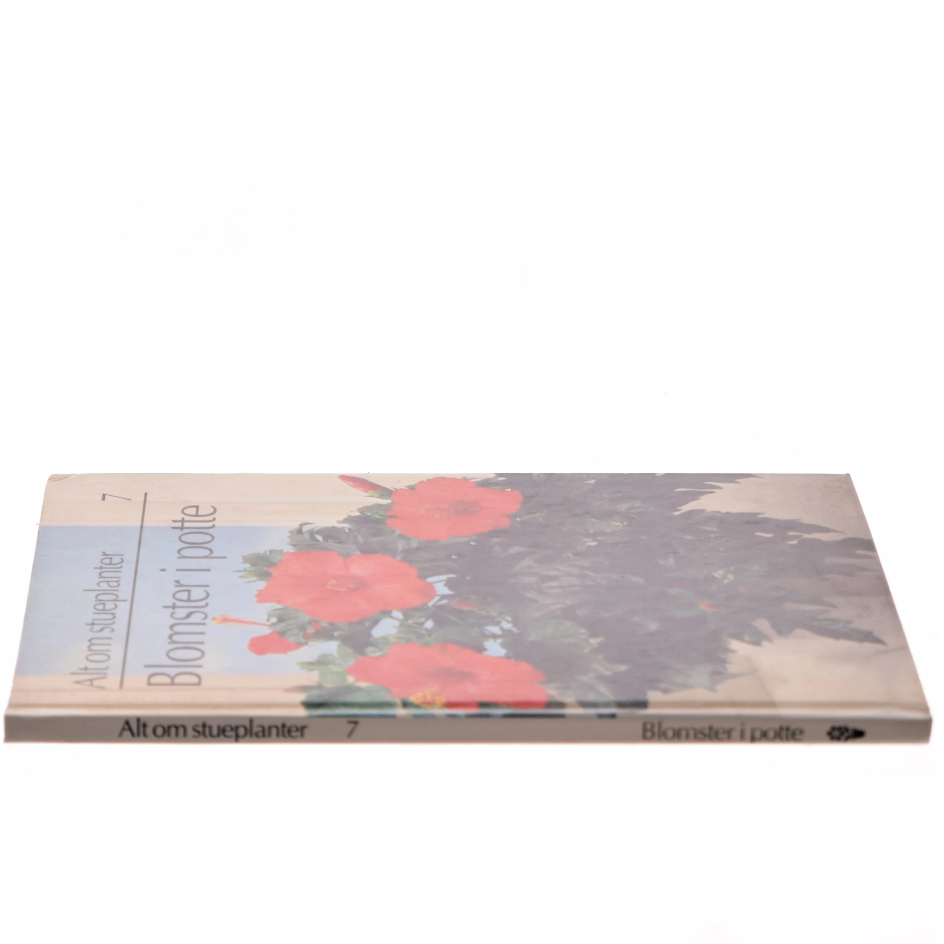 Blomster i potte (Bog)