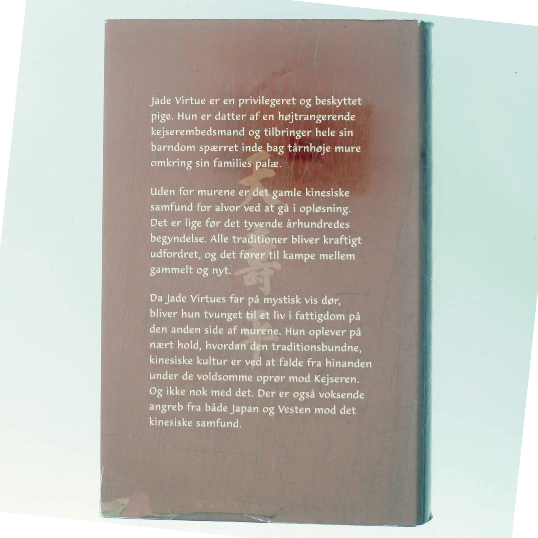 Drømmen om byen bag murene af Lisa Huang Fleischman (Bog)