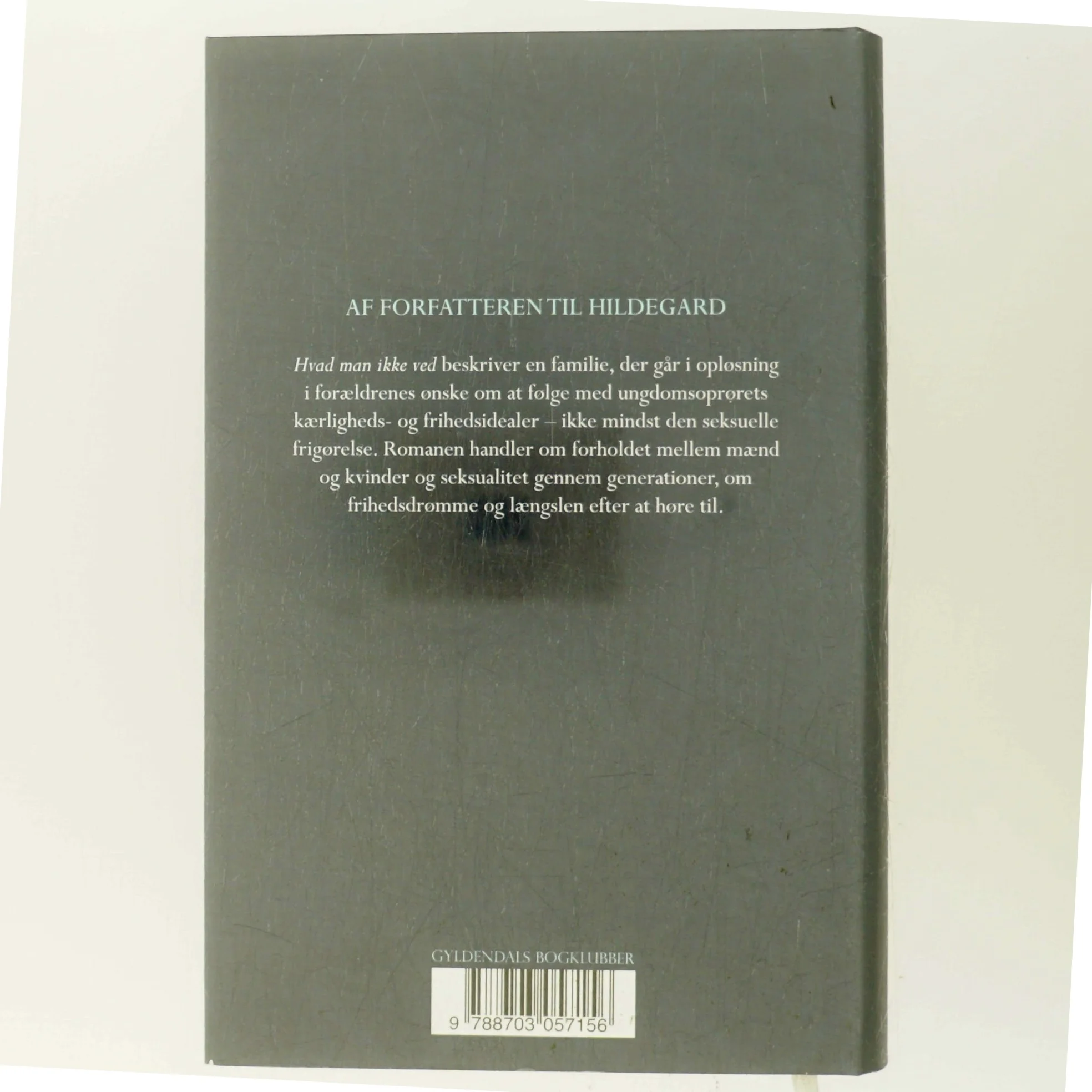 Hvad man ikke ved : roman af Anne Lise Marstrand-Jørgensen (Bog)