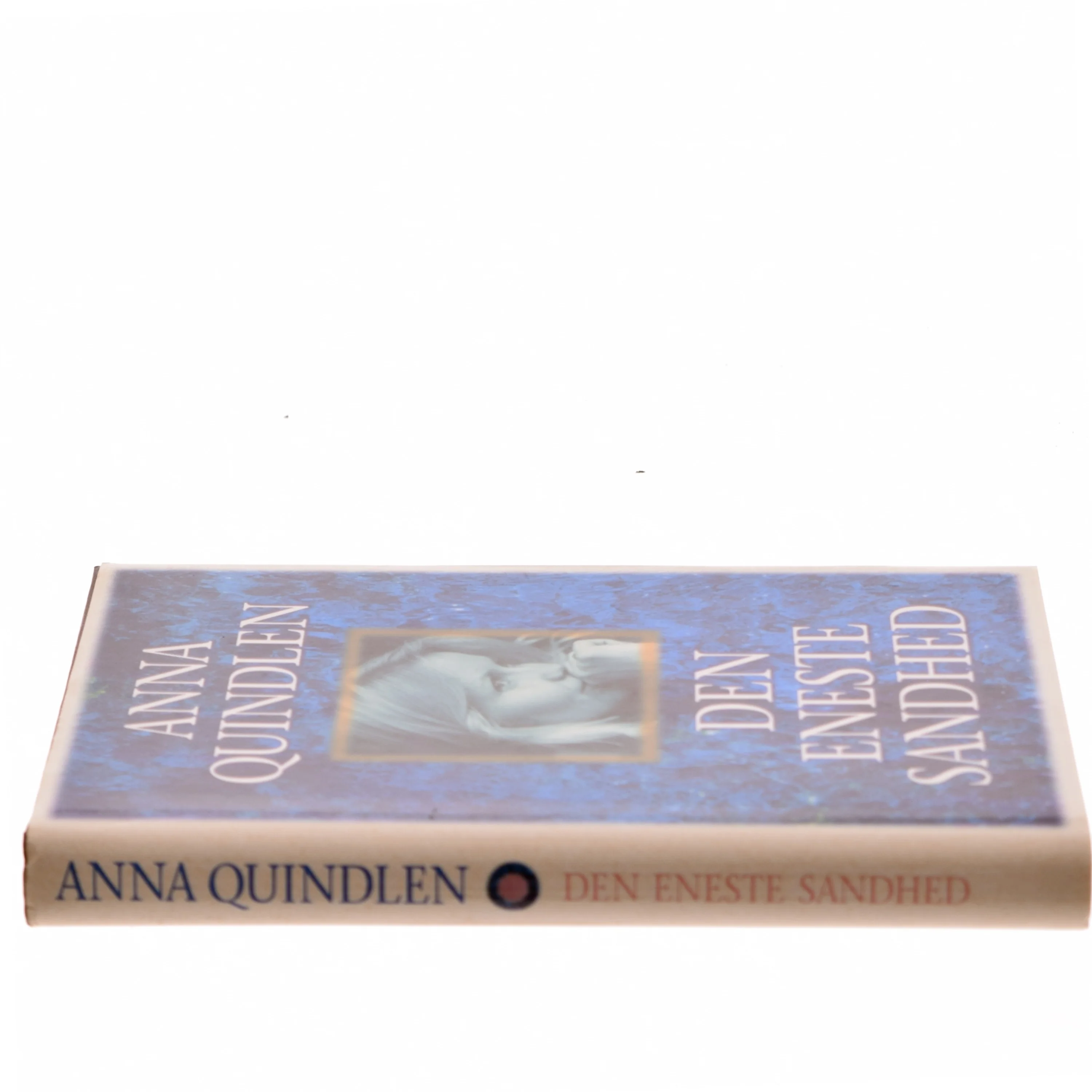 Den eneste sandhed af Anna Quindlen