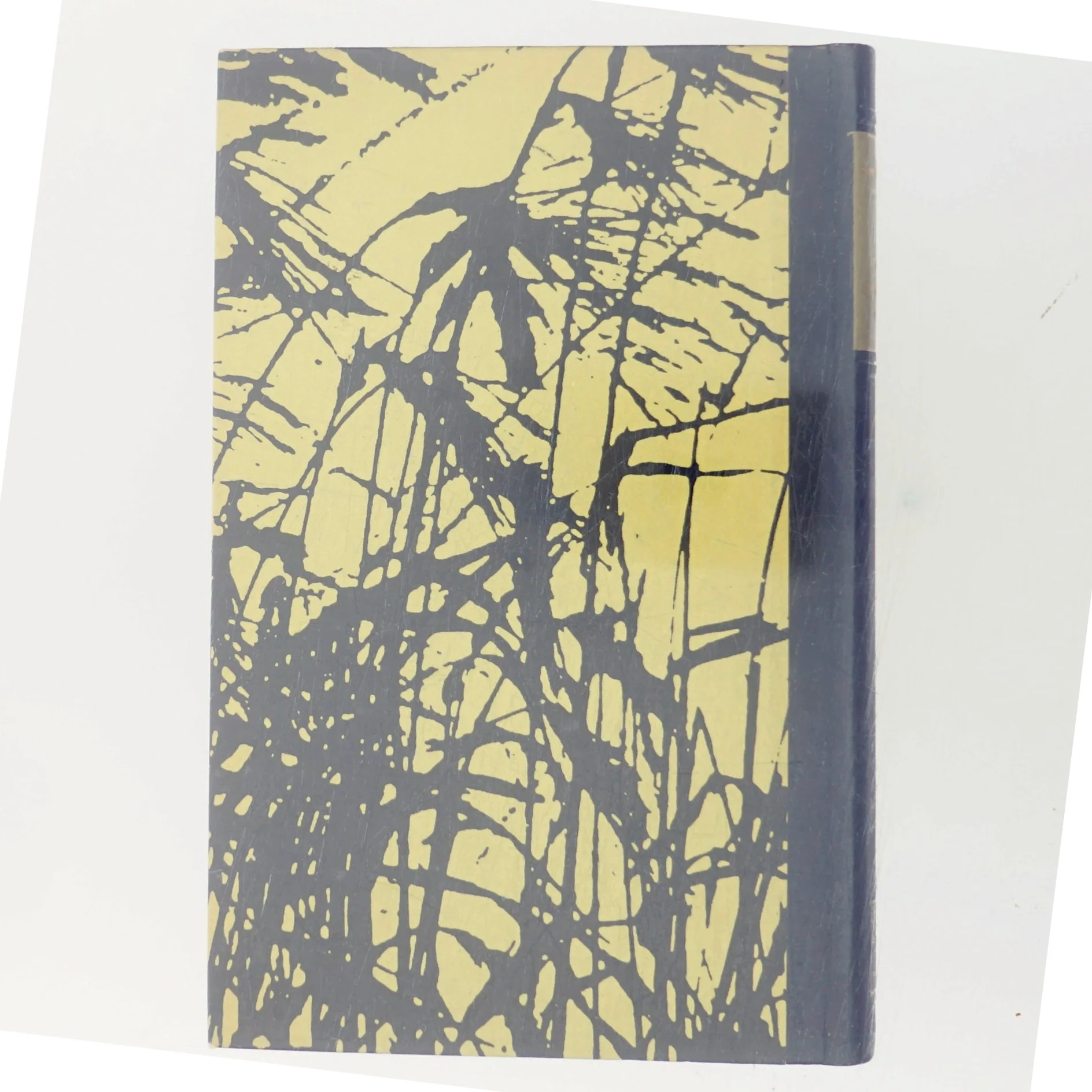 Det Romanske Barn af Marguerite Duras (Bog)