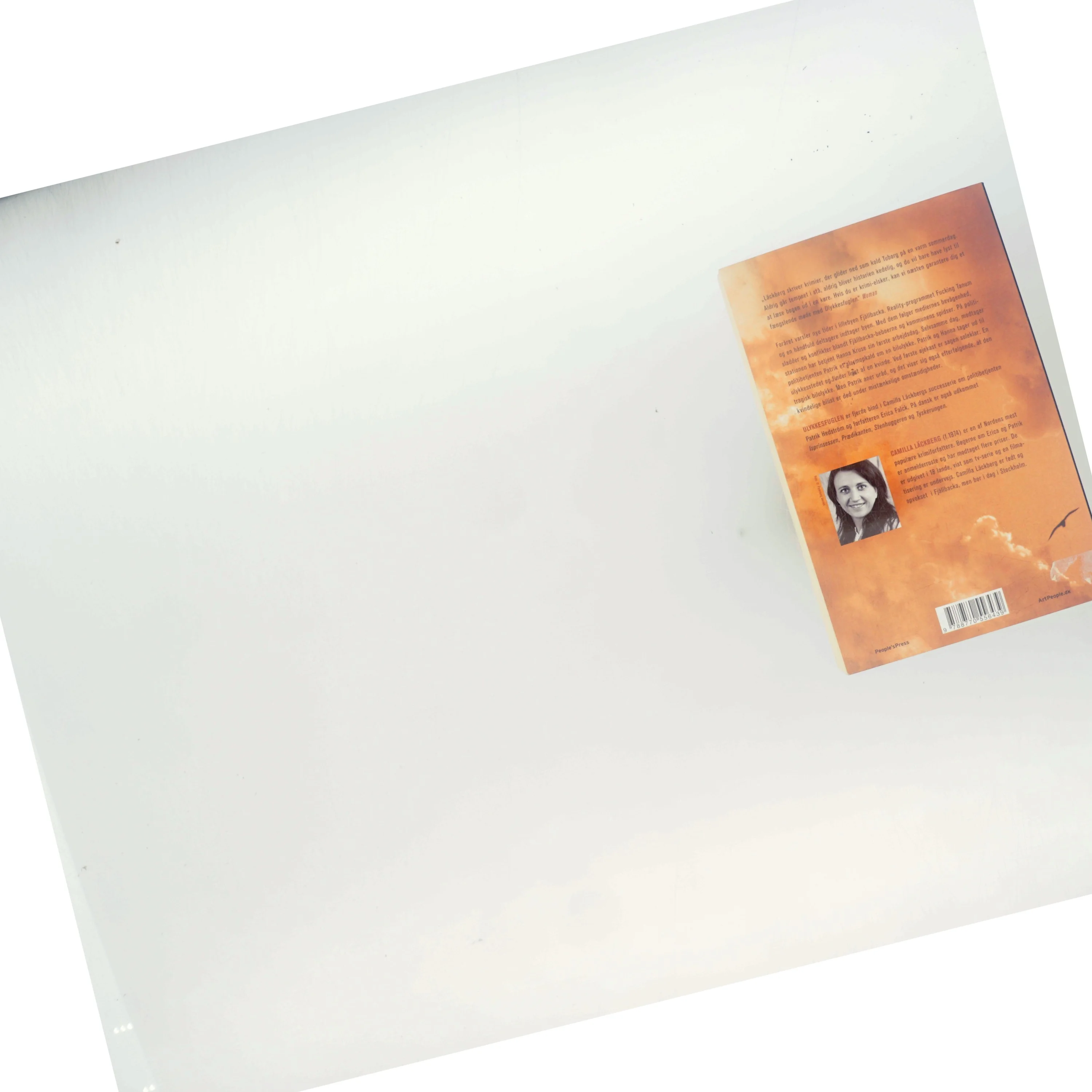 Ulykkesfuglen : kriminalroman af Camilla Läckberg (Bog)