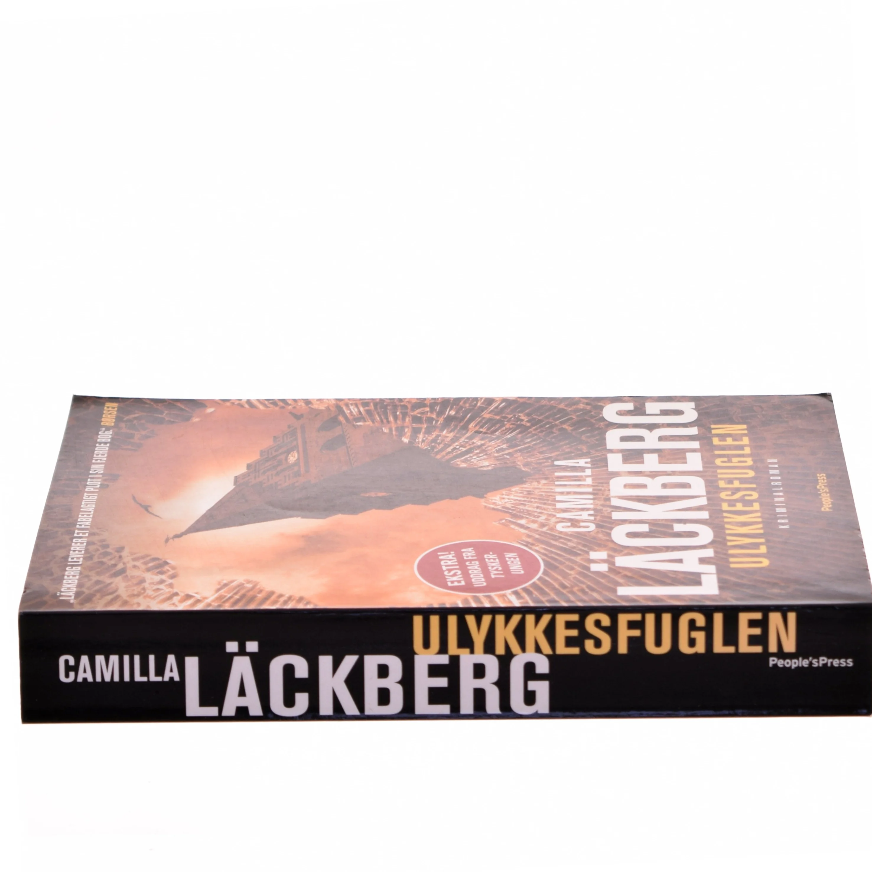 Ulykkesfuglen : kriminalroman af Camilla Läckberg (Bog)