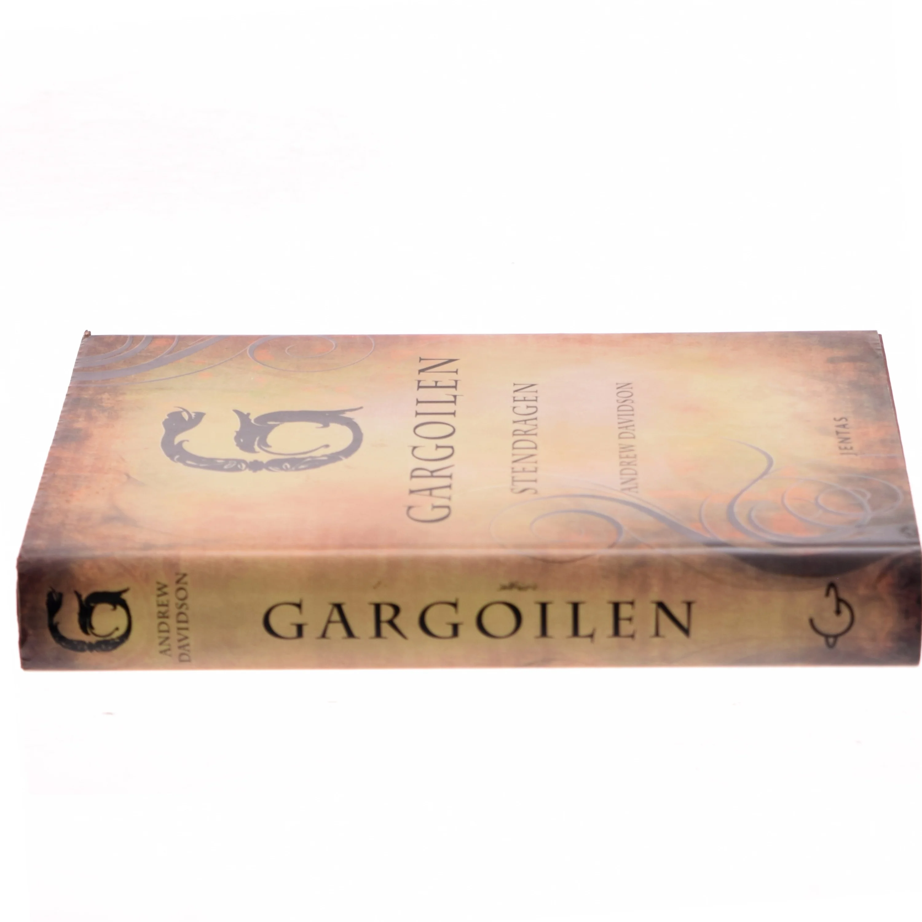 Gargoilen : stendragen af Andrew Davidson (Bog)