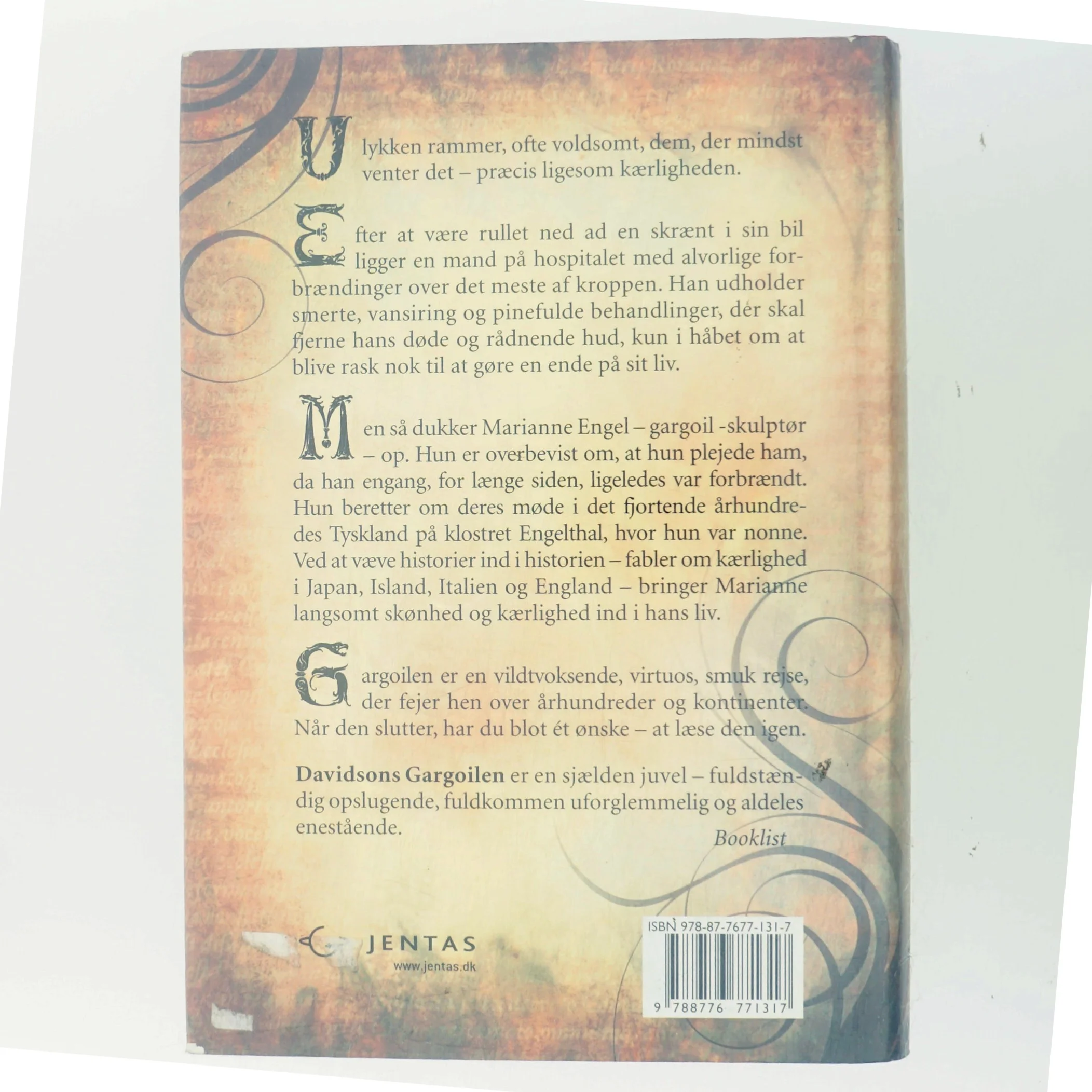 Gargoilen : stendragen af Andrew Davidson (Bog)