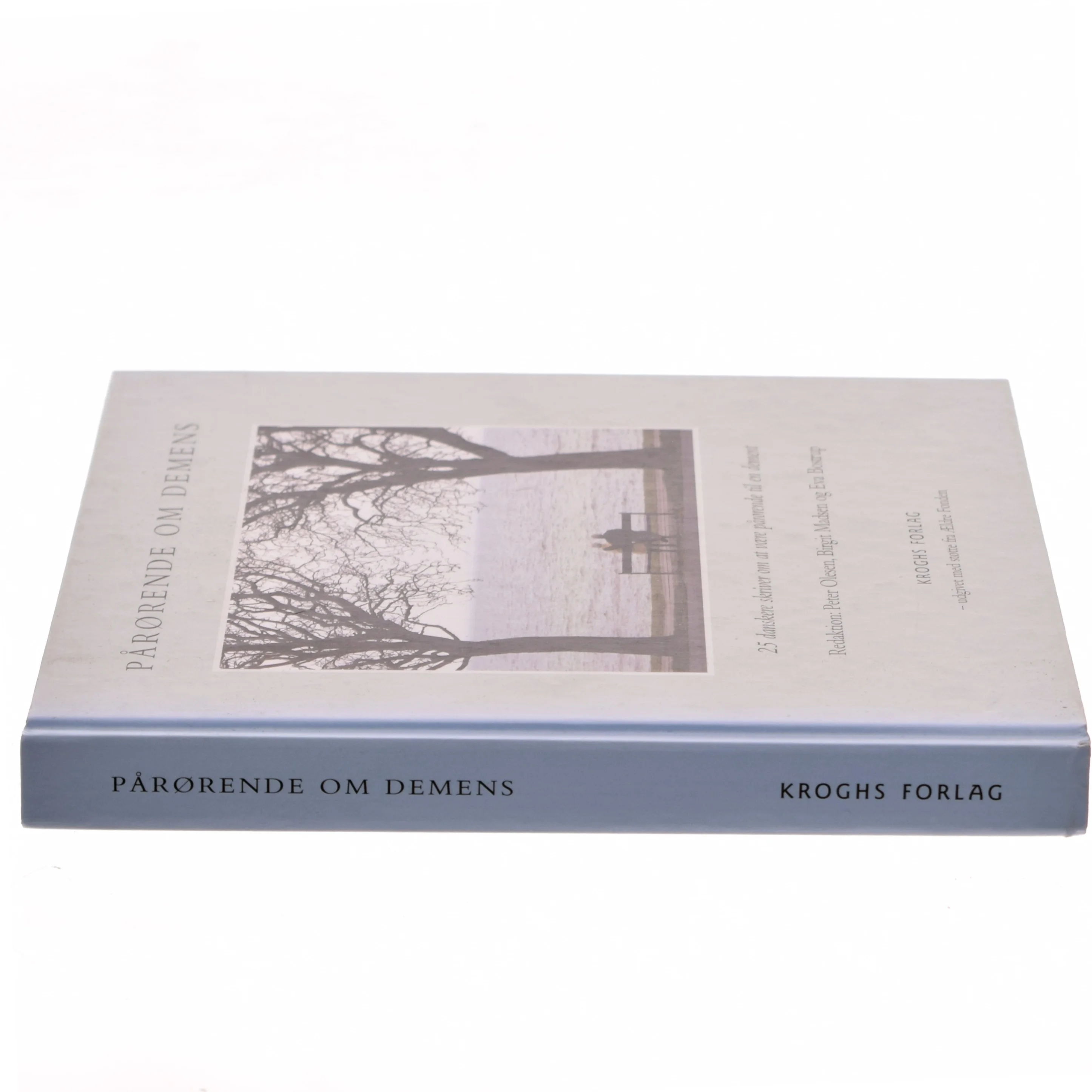 Pårørende om demens : 25 danskere skriver om at være pårørende til en dement (Bog)