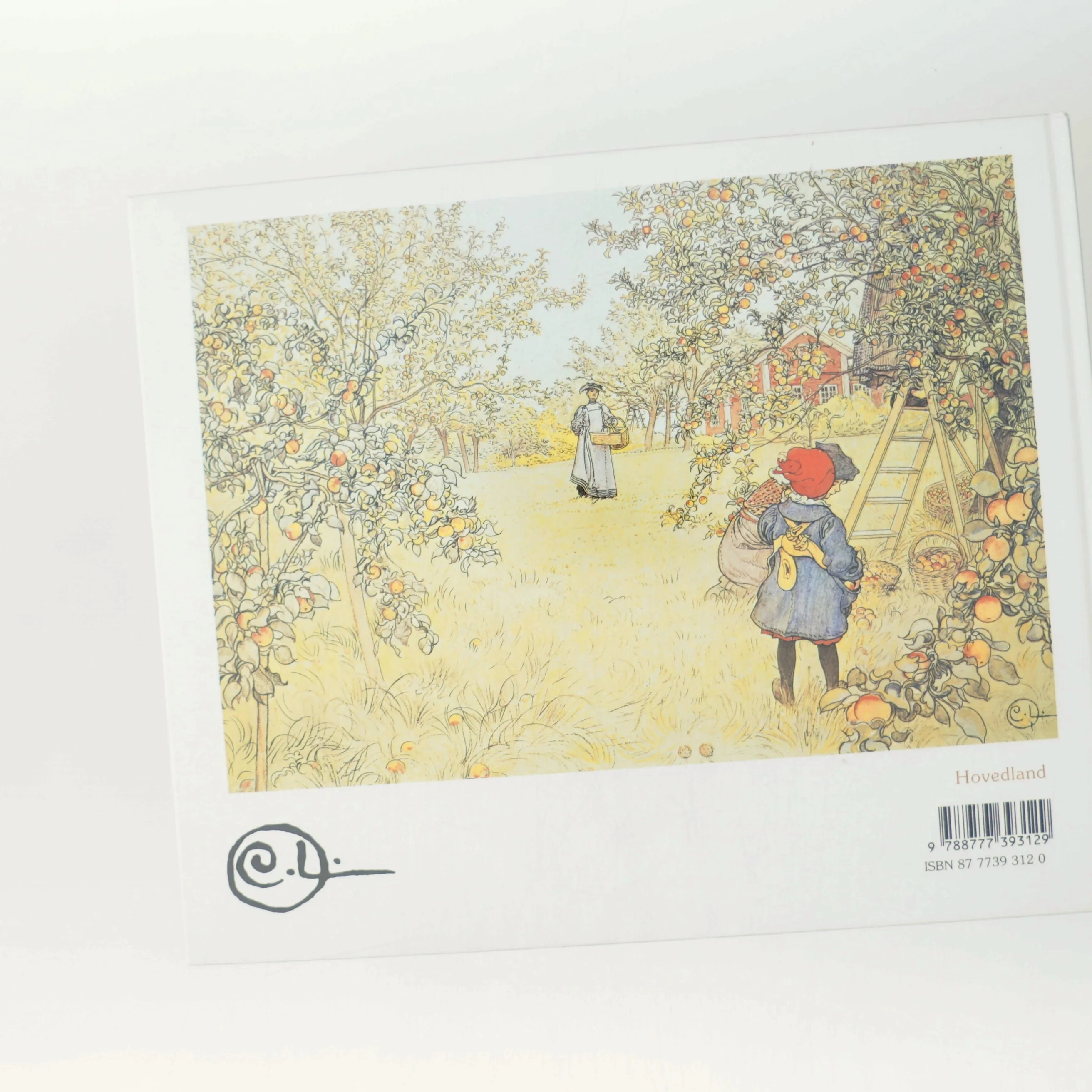 Vi på landet af Carl Larsson (Bog)