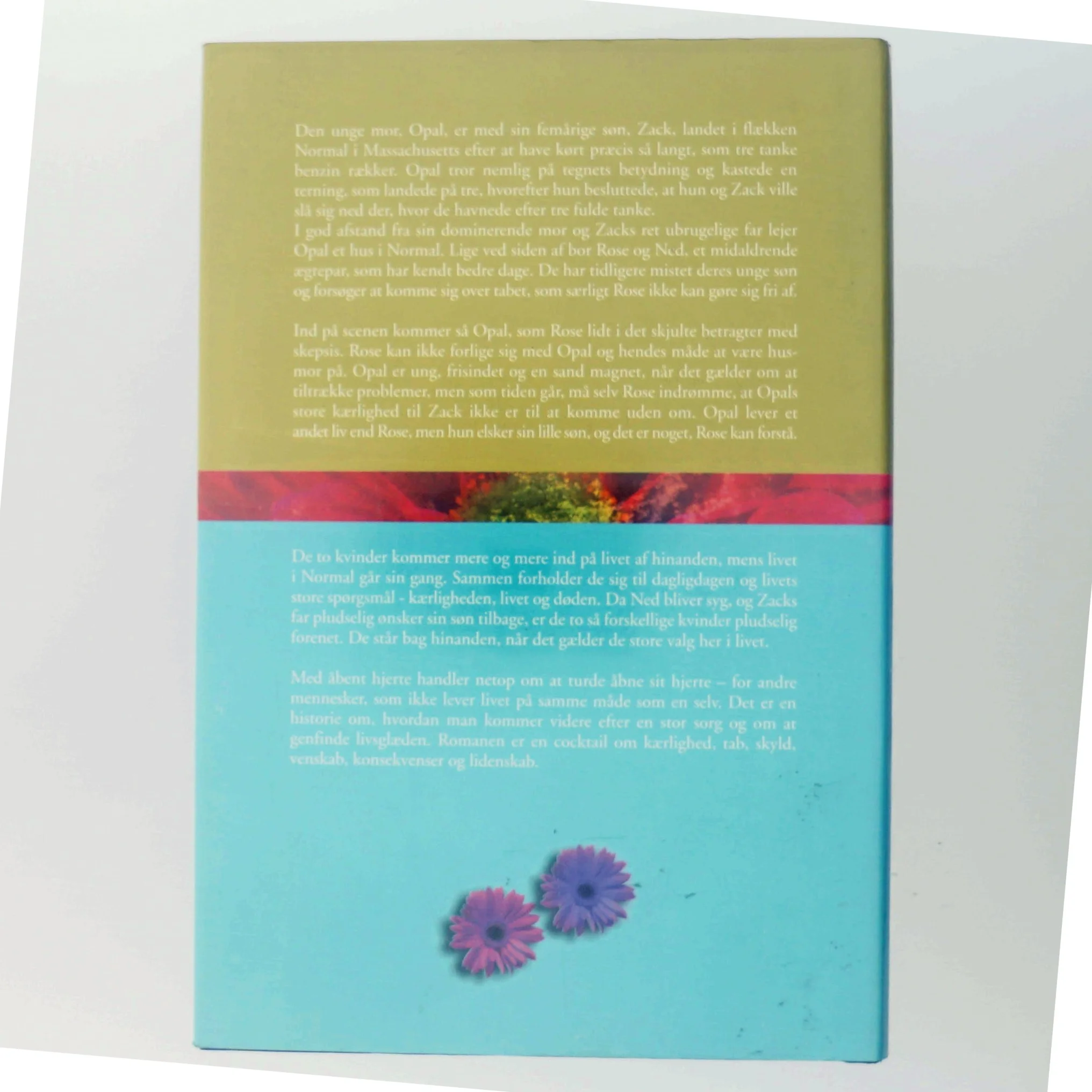 Bog: 'Med åbent hjerte' af Anne D. LeClaire