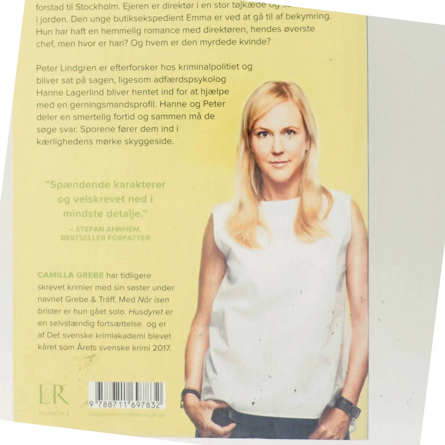 Når isen brister af Camilla Grebe (Bog)