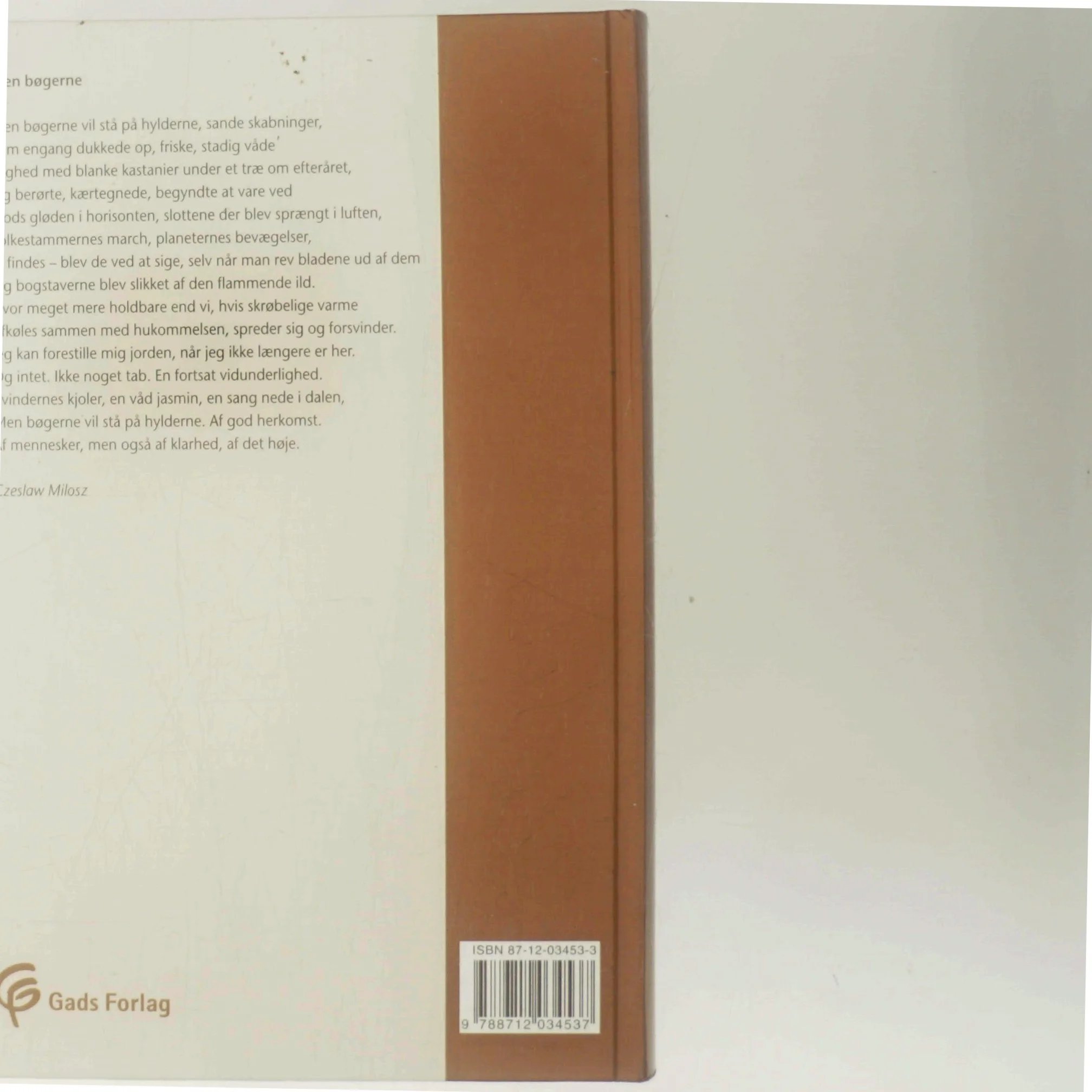 Falkenstjerne - verdenslitteratur af Mogens Bjerring-Hansen (Bog)