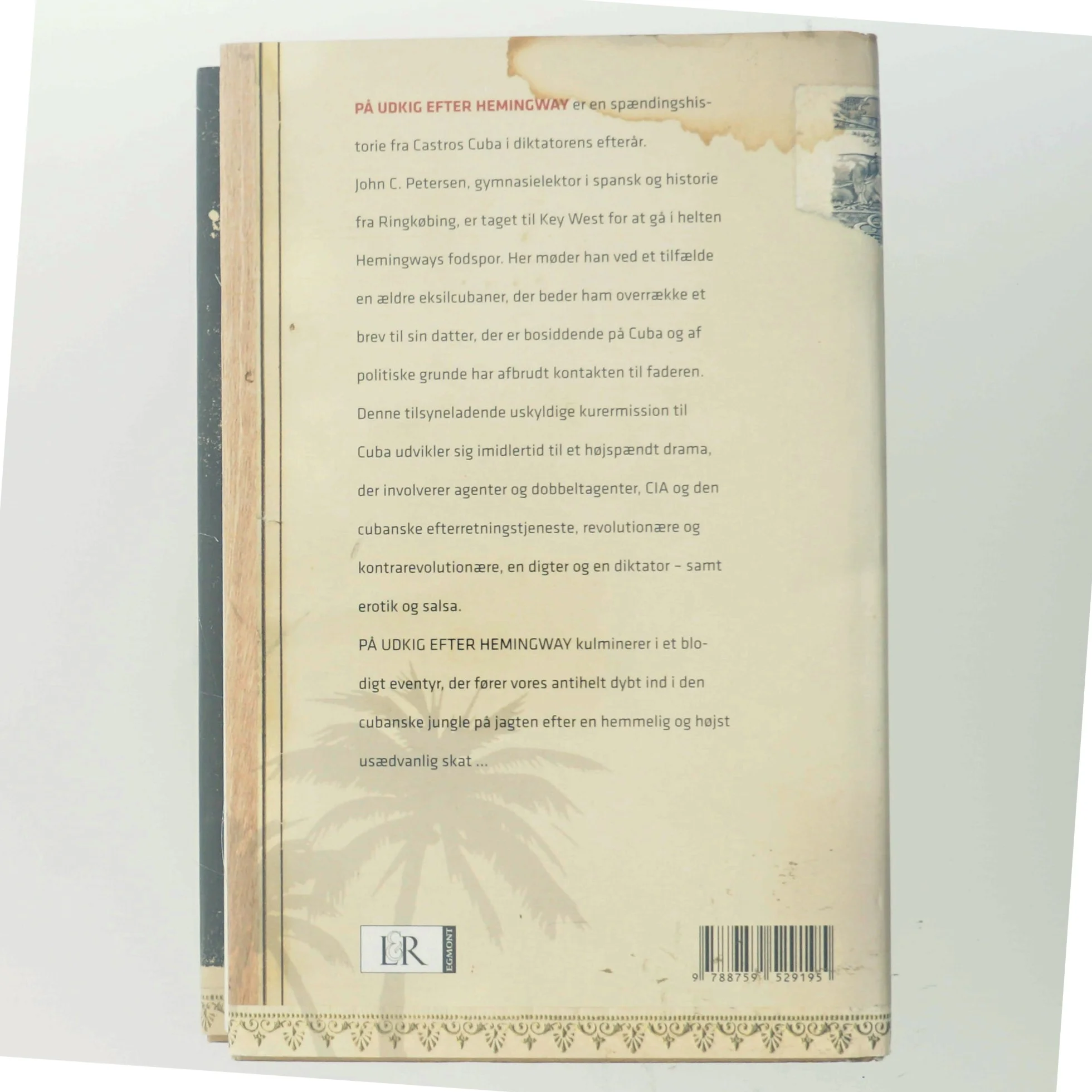 På udkig efter Hemingway af Leif Davidsen (Bog)