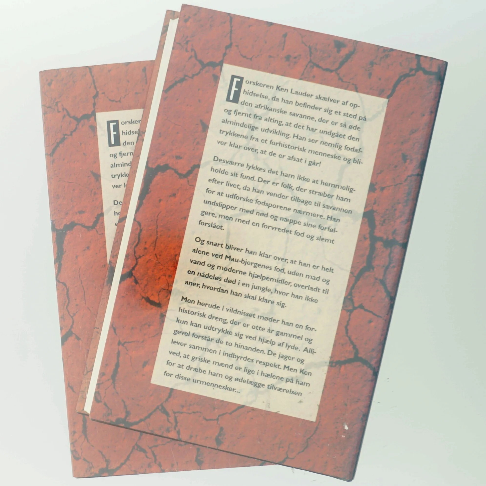 Et aftryk fra fortiden af Petru Popescu