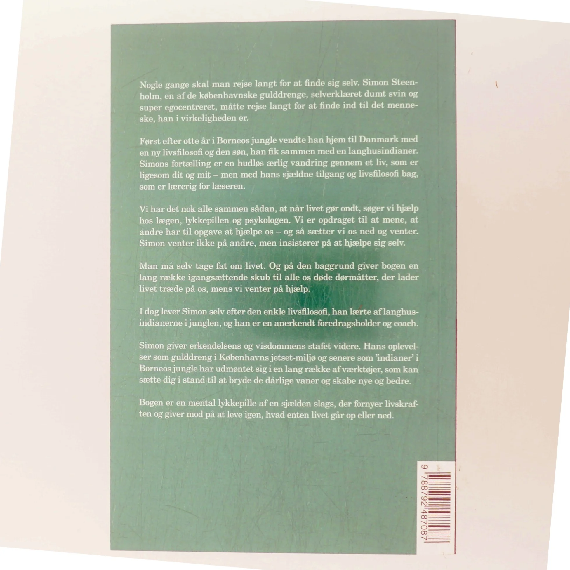 Gulddrengen & indianeren af Simon Steenholm (Bog)